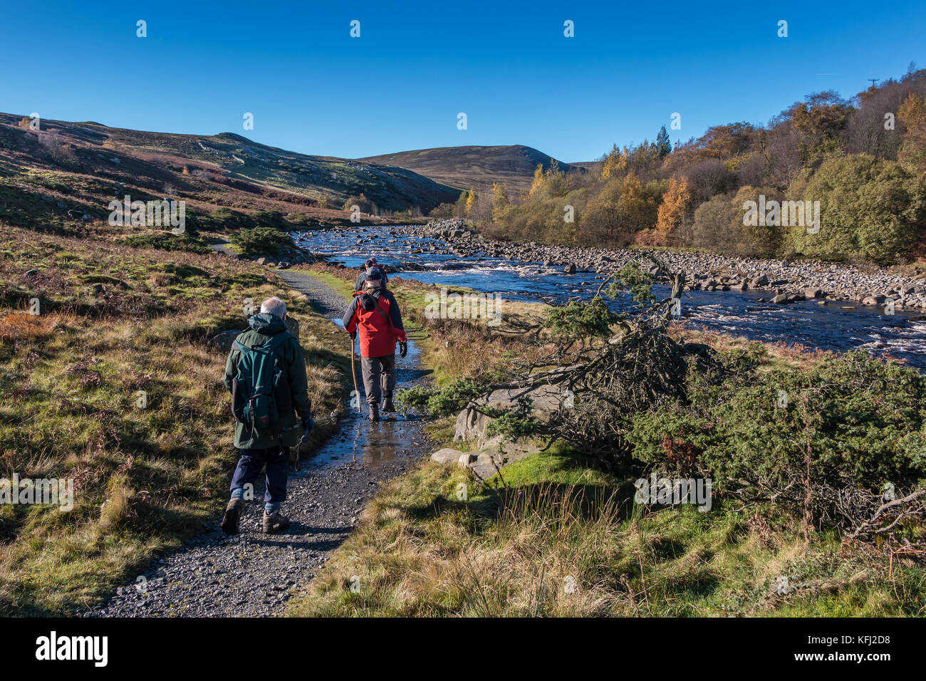 Paesaggio di Teesdale, walkers sul Pennine Way a lunga distanza sentiero avvicinando Blea Beck in un pomeriggio autunnale Ottobre 2017 con spazio di copia Foto Stock