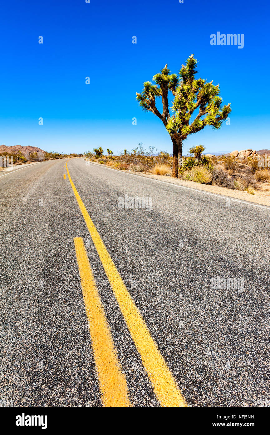 La strada attraverso Joshua Tree National Park, California, Stati Uniti d'America Foto Stock