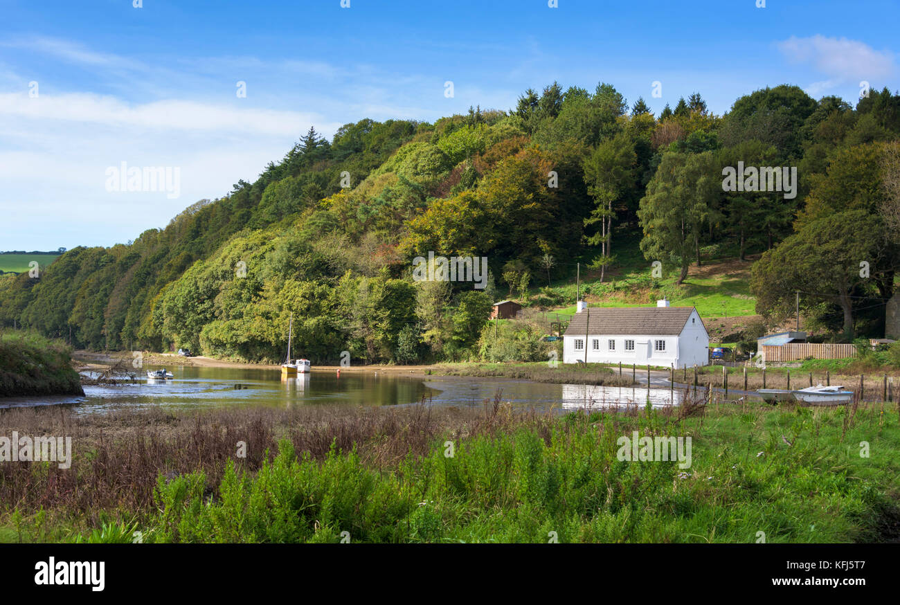 Avon Creek, Aveton Gifford, Devon, Inghilterra Foto Stock