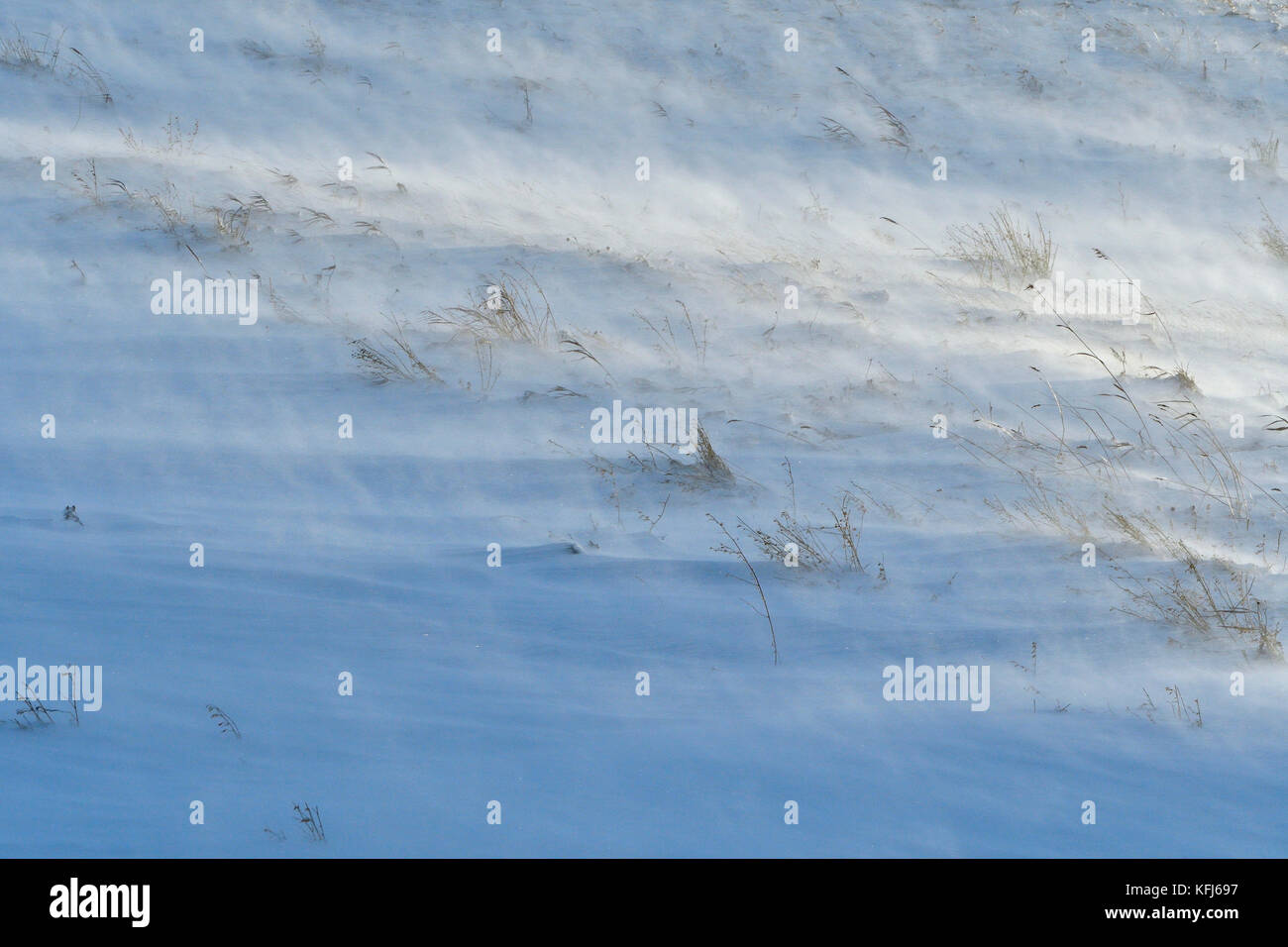 Essendo la neve soffiata intorno alla superficie da un forte vento Foto Stock