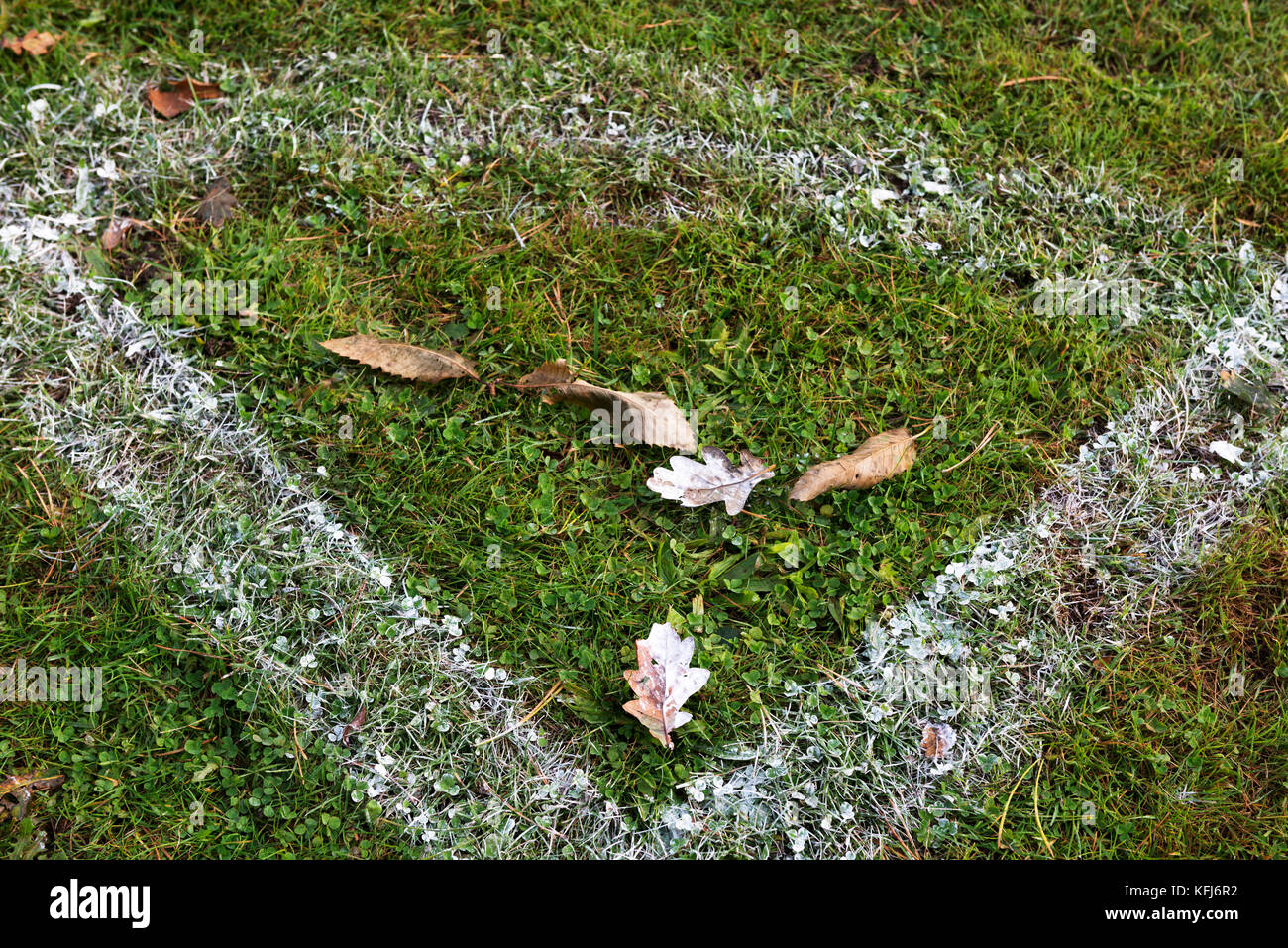 Campo da calcio angolo creando con caduta foglie Foto Stock