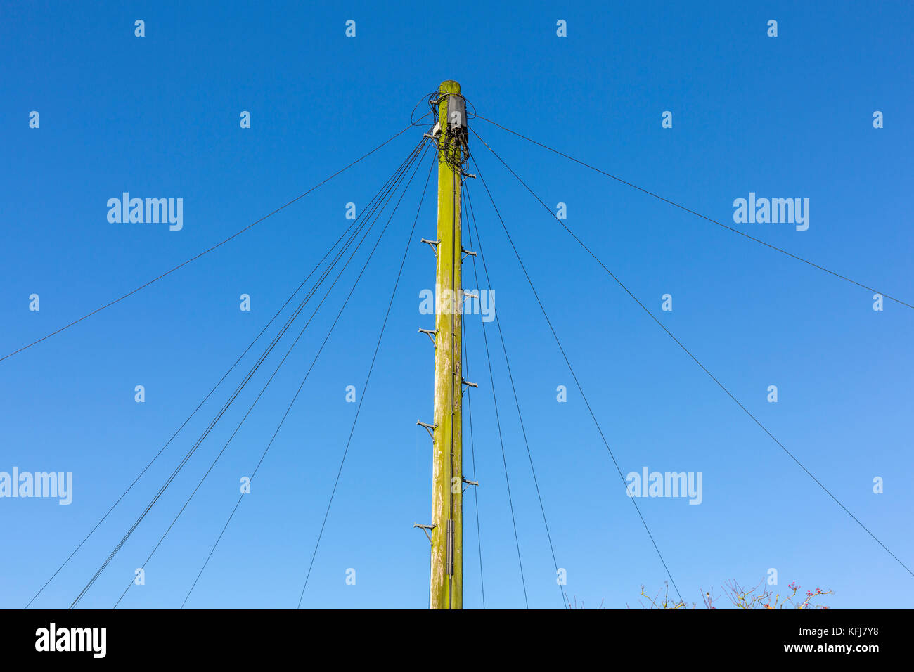 Le linee telefoniche. Suffolk, Regno Unito. Foto Stock