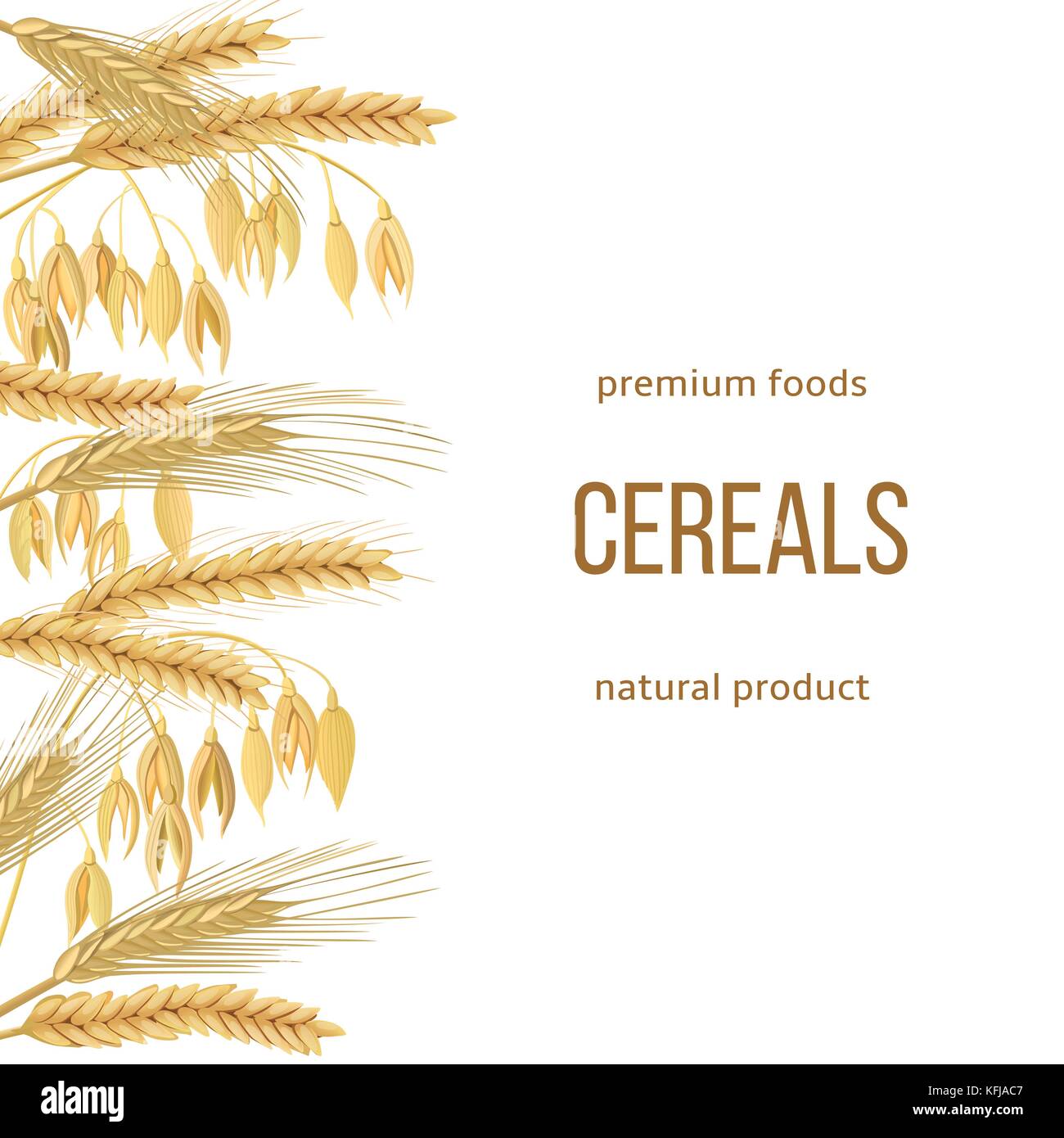 Frumento, orzo, avena e segale set. testo alimenti premium, prodotto naturale. quattro grani di cereali con orecchie, covone Illustrazione Vettoriale