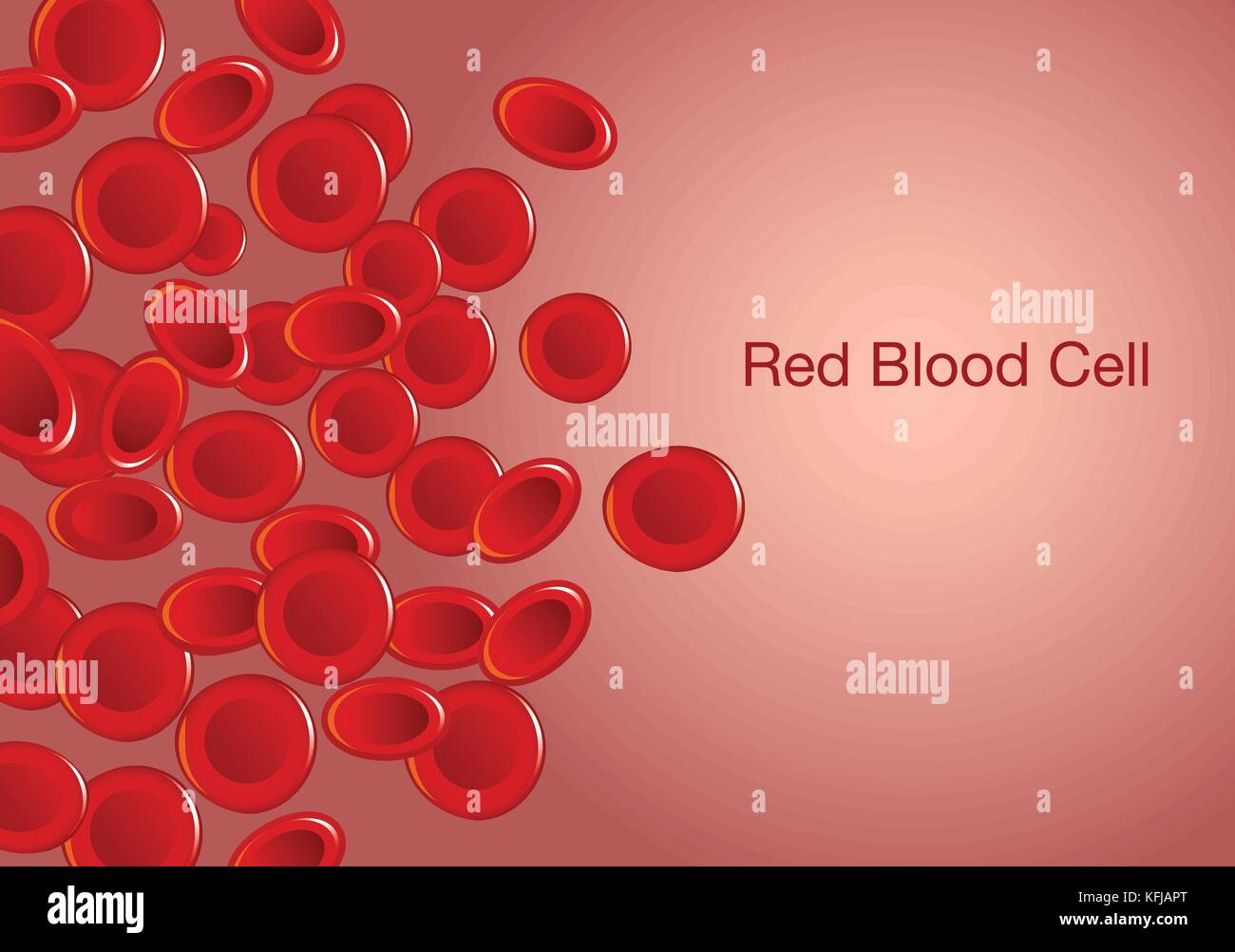 Le cellule rosse del sangue e il testo su sfondo. Illustrazione Vettoriale