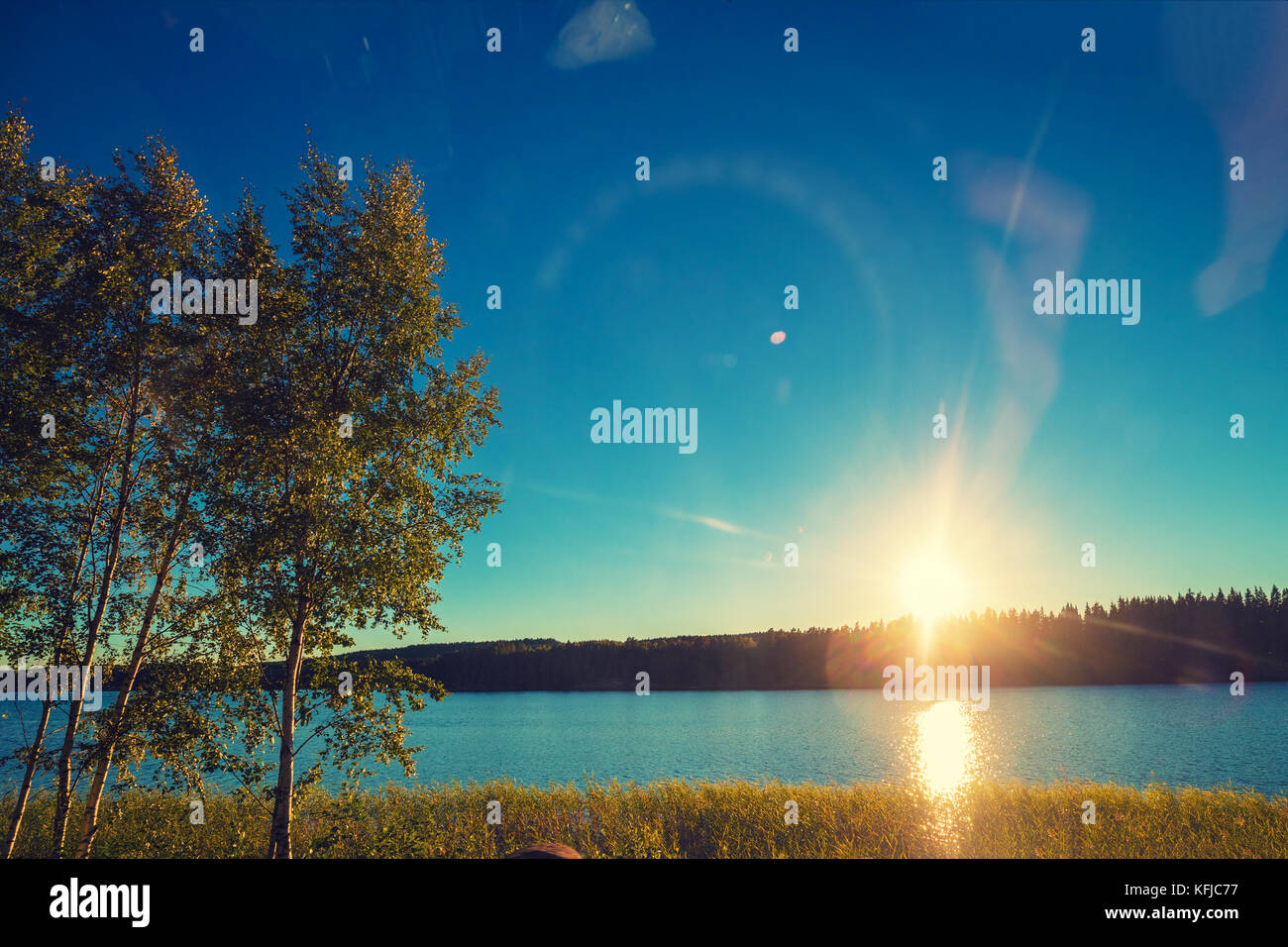 Lakeshore con alberi al tramonto. La bellissima natura della Finlandia Foto Stock