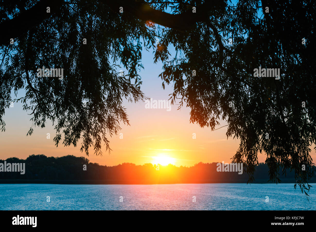 Lakeshore con alberi al tramonto. La bellissima natura della Finlandia. Foto Stock