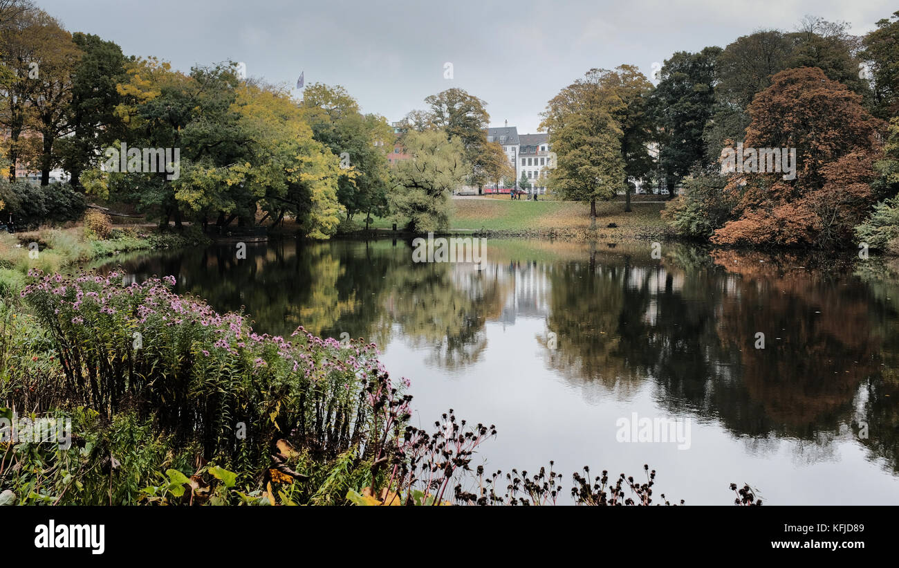 Colori autunnali a Ørstedsparken, un parco pubblico nel centro di Copenaghen Foto Stock