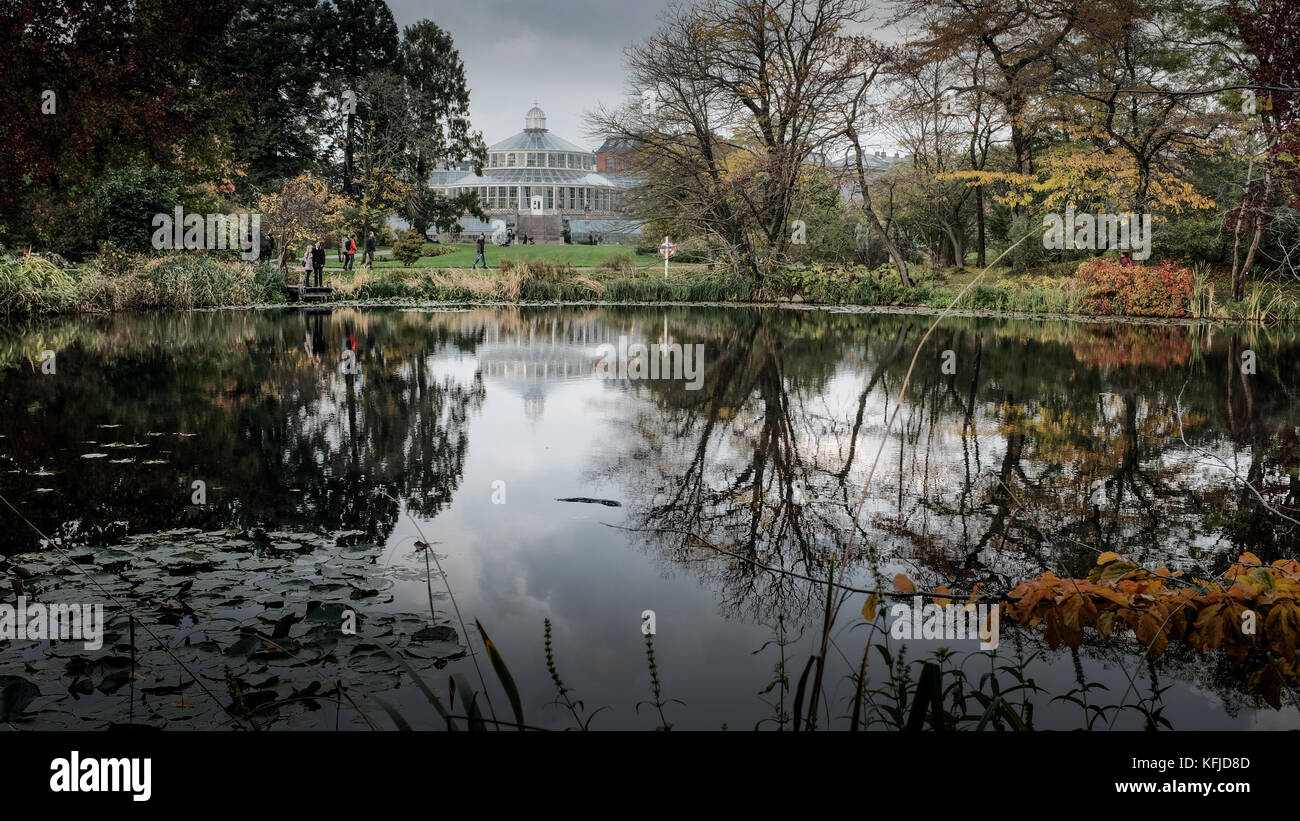 Riflessi di autunno nel lago a Copenaghen giardini botanici Foto Stock