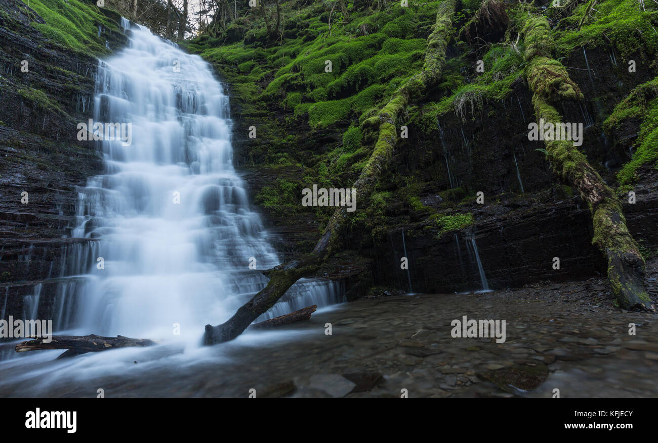 Acqua rompere il suo collo cascata: Nuovo Radnor, Presteigne, Galles Foto Stock