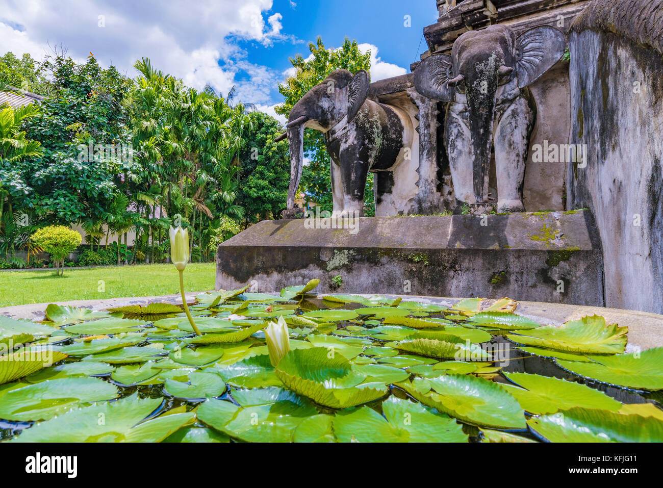 Tranquillo paesaggio di ninfee con architettura del tempio Foto Stock