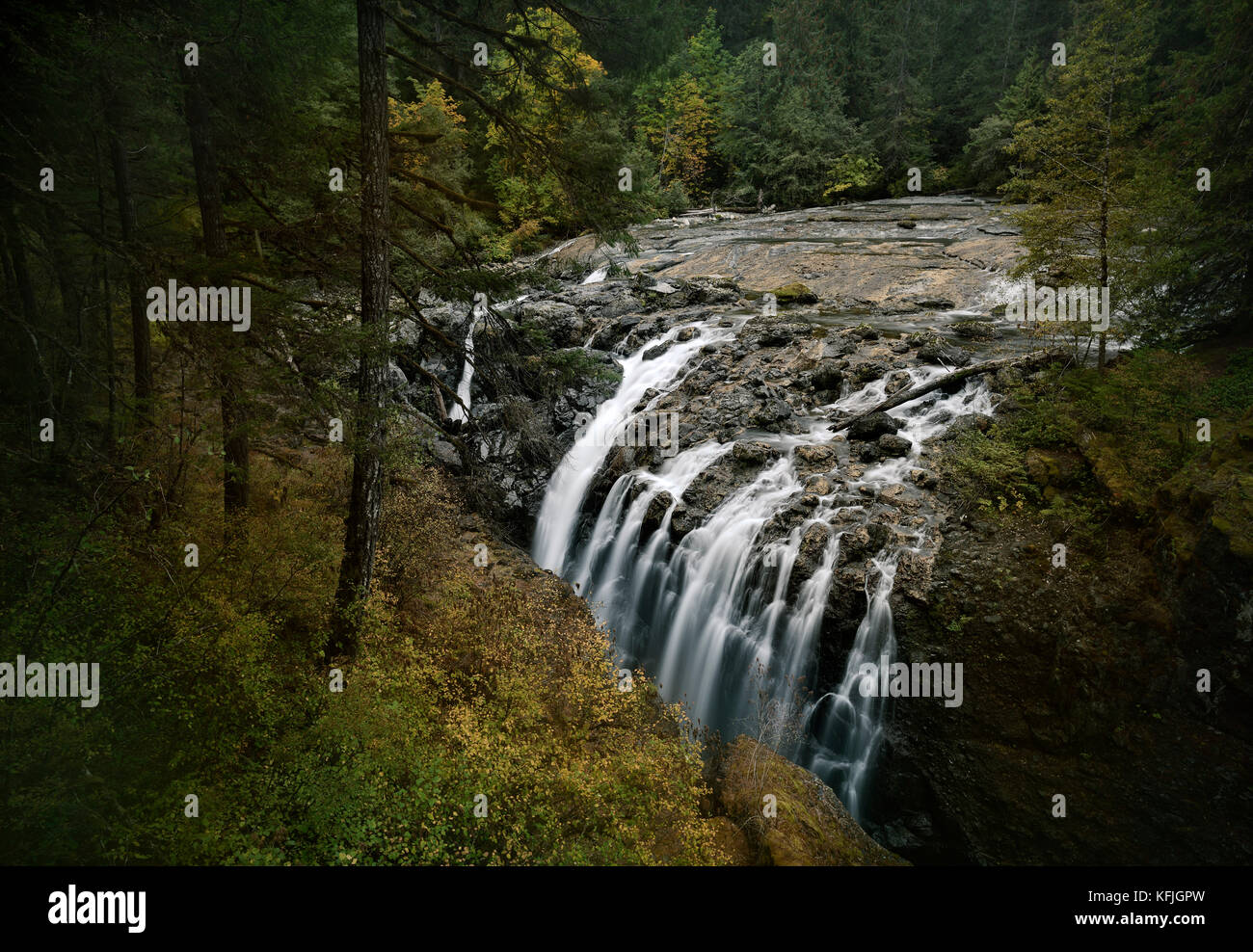 Autunno natura scenario di cascata in Englishman River Falls Provincial Park. ERRINGTON, Isola di Vancouver, Columbia Britannica, Canada Foto Stock