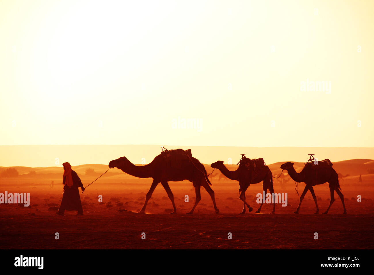 Caravan di cammelli nel deserto del Sahara, Marocco. driver-berber con tre cammelli dromedario su sunrise sfondo cielo Foto Stock