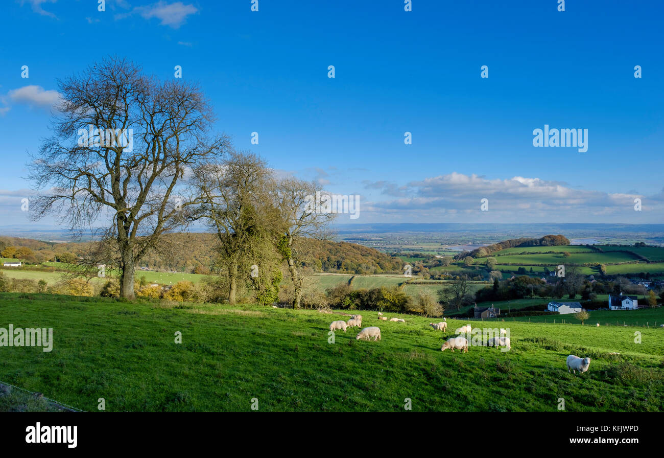 Vista del fiume Severn dal di sopra Scandicci ha, Gloucestershire, England Regno Unito Foto Stock