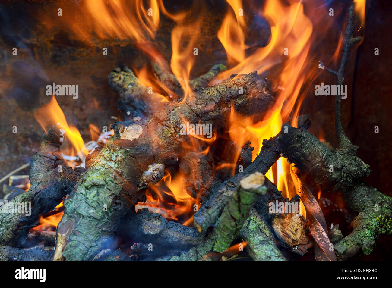 Tre brucianti di billette in stufa a caldo il fuoco fuoco di legno Foto Stock
