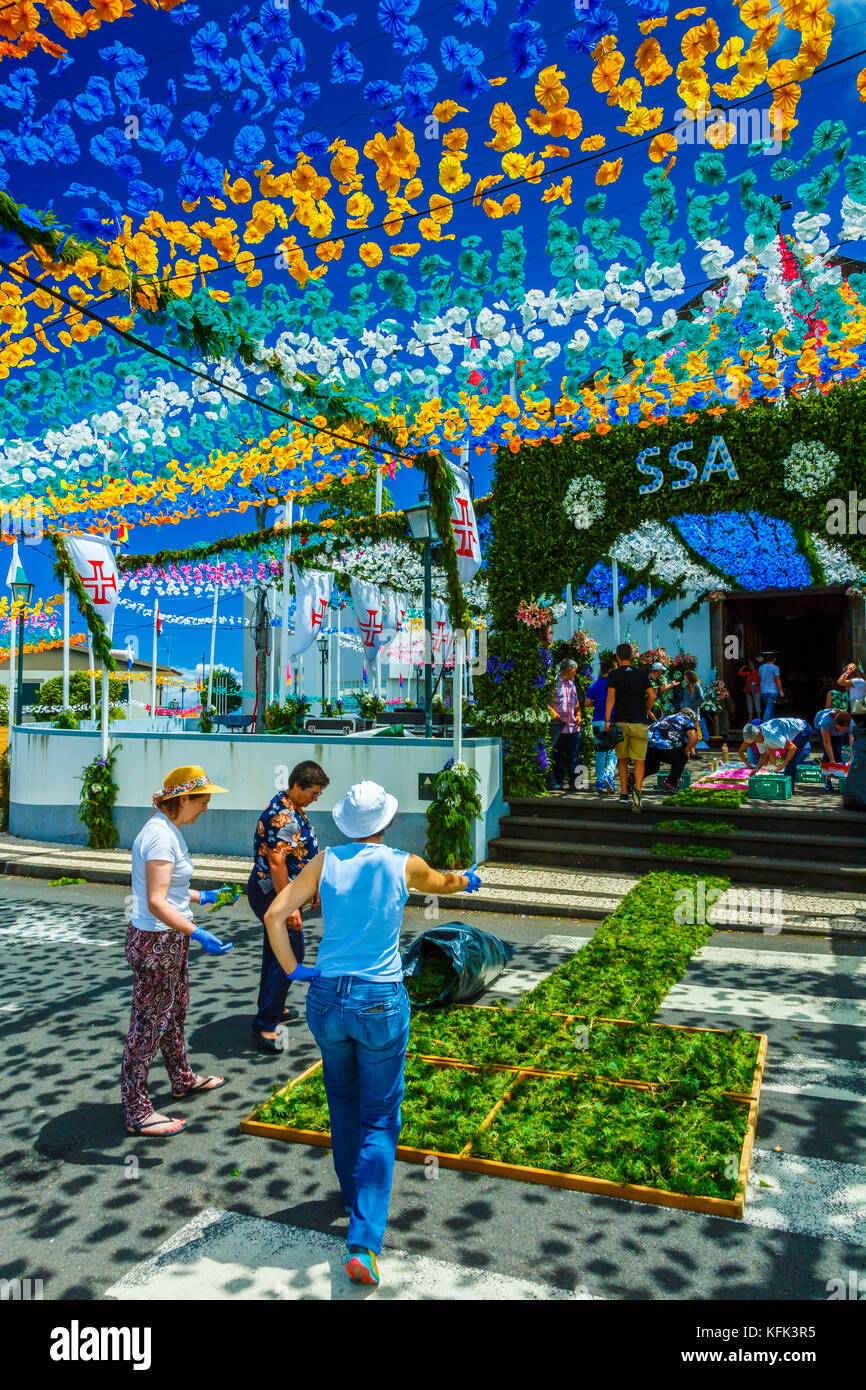 Tappeto di fiori. Foto Stock