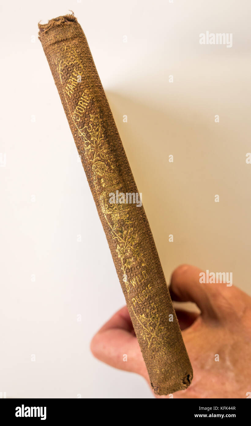 Dorso del libro con scritte dorate, libro di storia vintage dei bambini americani 1860s chiamato Harlie Stories Wild Pegge con copertina rigida indossata Foto Stock