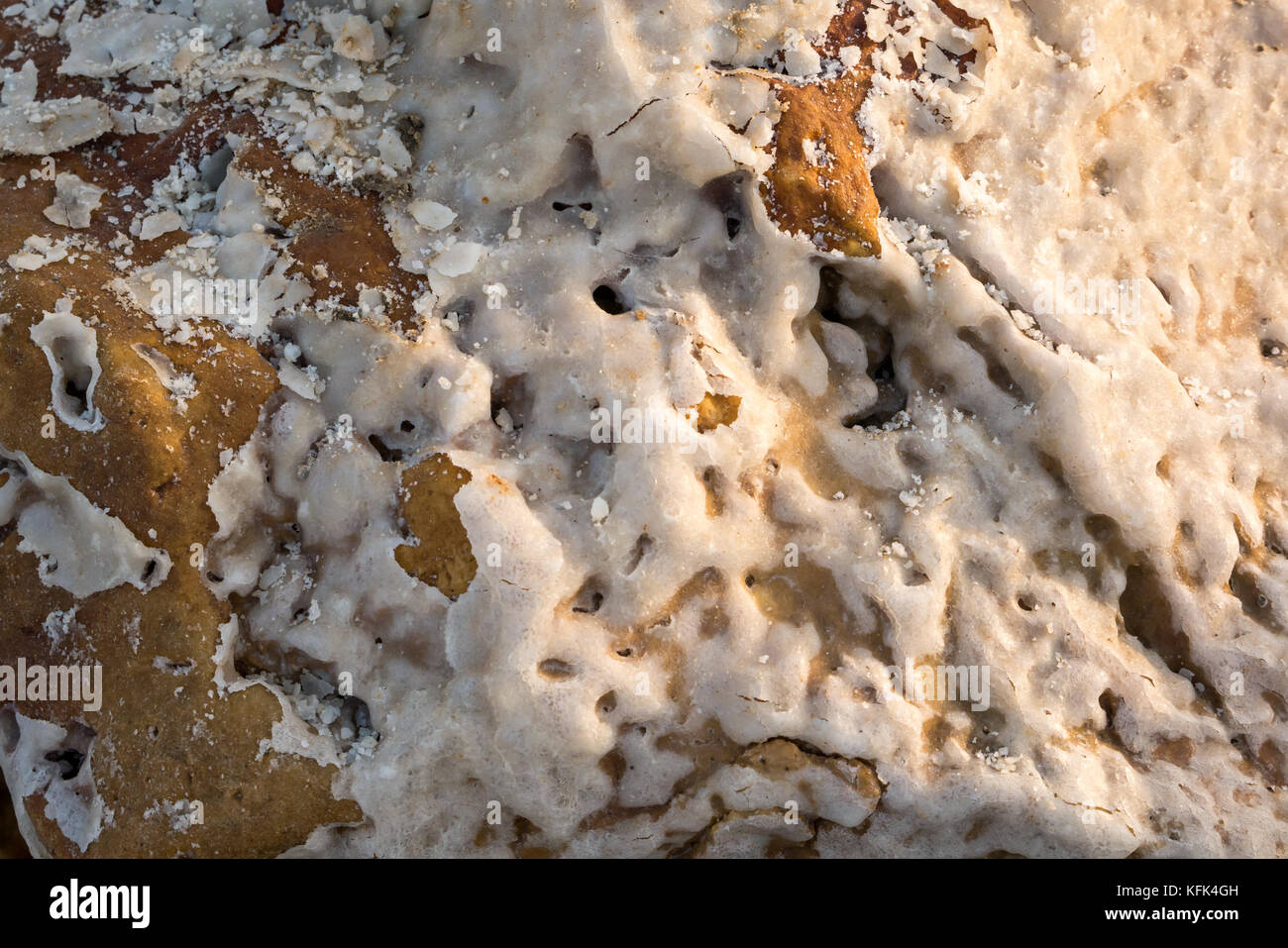 Close up di sale incrostati di roccia, Dead Sea shore, Giordania, Medio Oriente Foto Stock