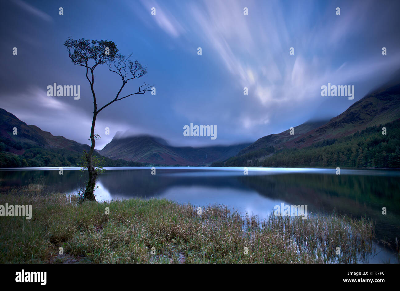 Un lone tree sul lago buttermere, cumbria, Lake District. Inghilterra. Foto Stock