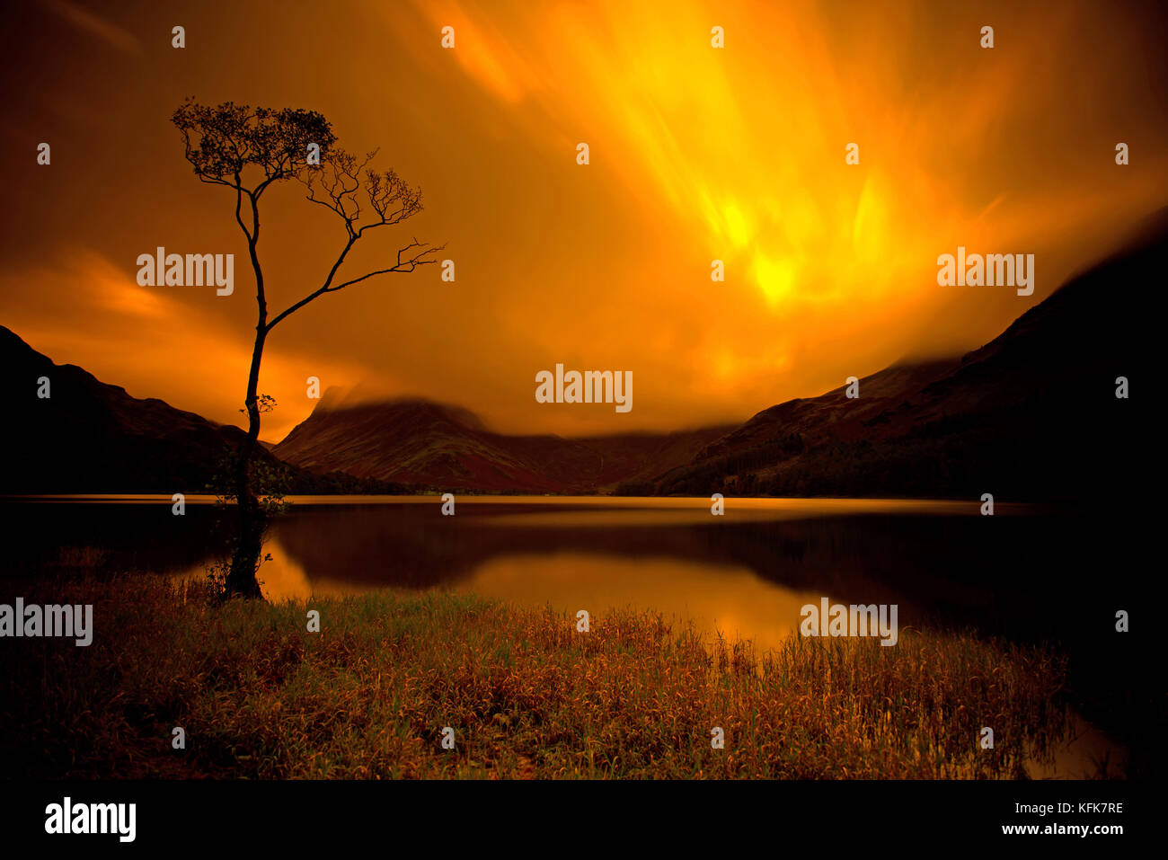 Un lone tree sul lago buttermere, cumbria, Lake District. Inghilterra. Foto Stock