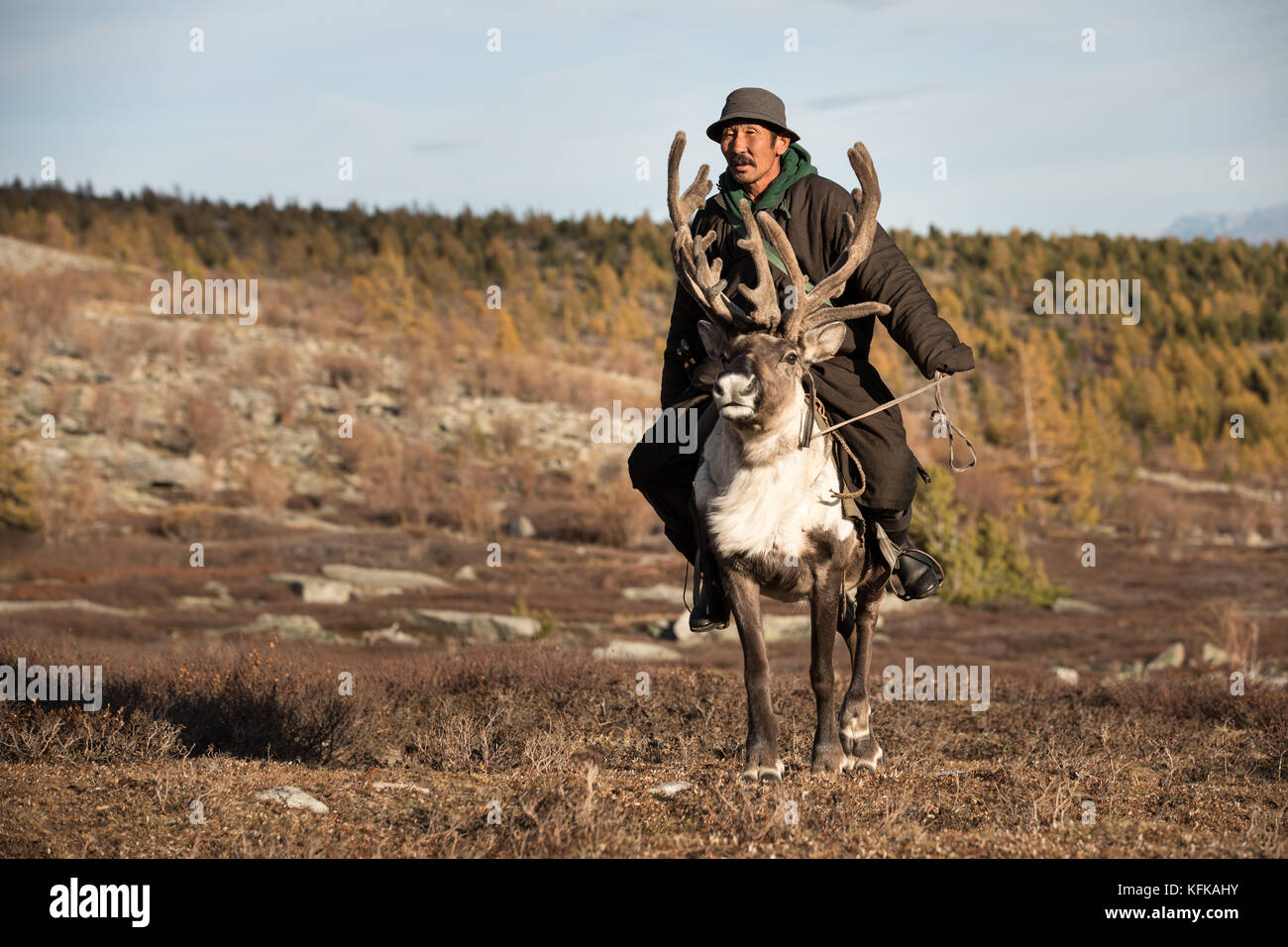Vecchio Tsaatan nomad uomo in sella a una renna con un grande insieme di corna. Khuvsgul, Mongolia. Foto Stock