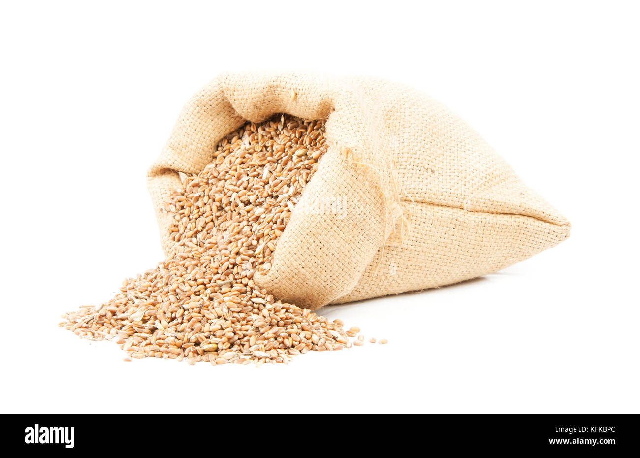 Grano isolato su sfondo bianco Foto Stock