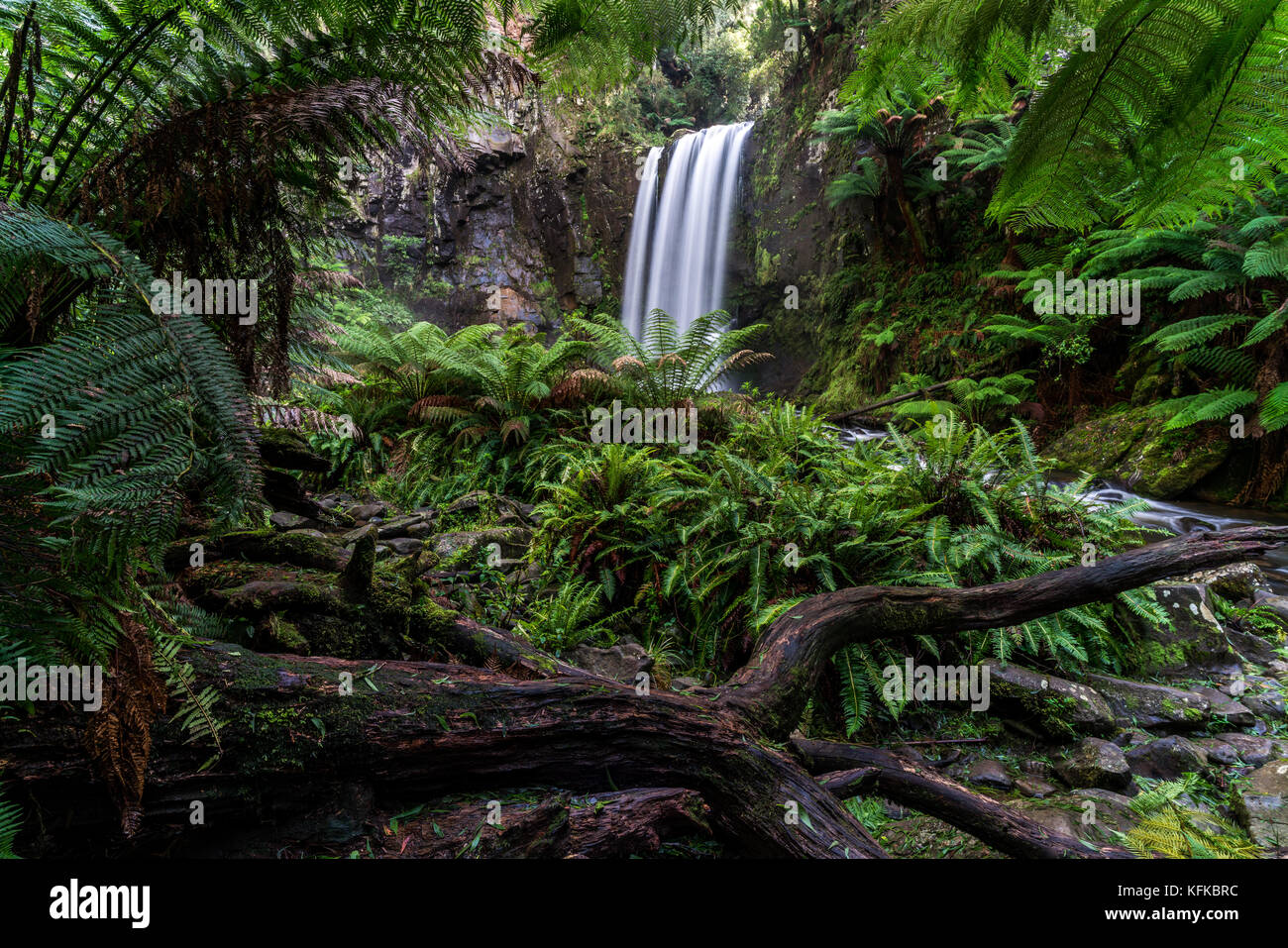 Cascata nascosta in una foresta pluviale, con setosa flusso di acqua, circondato da felci e fogliame Foto Stock