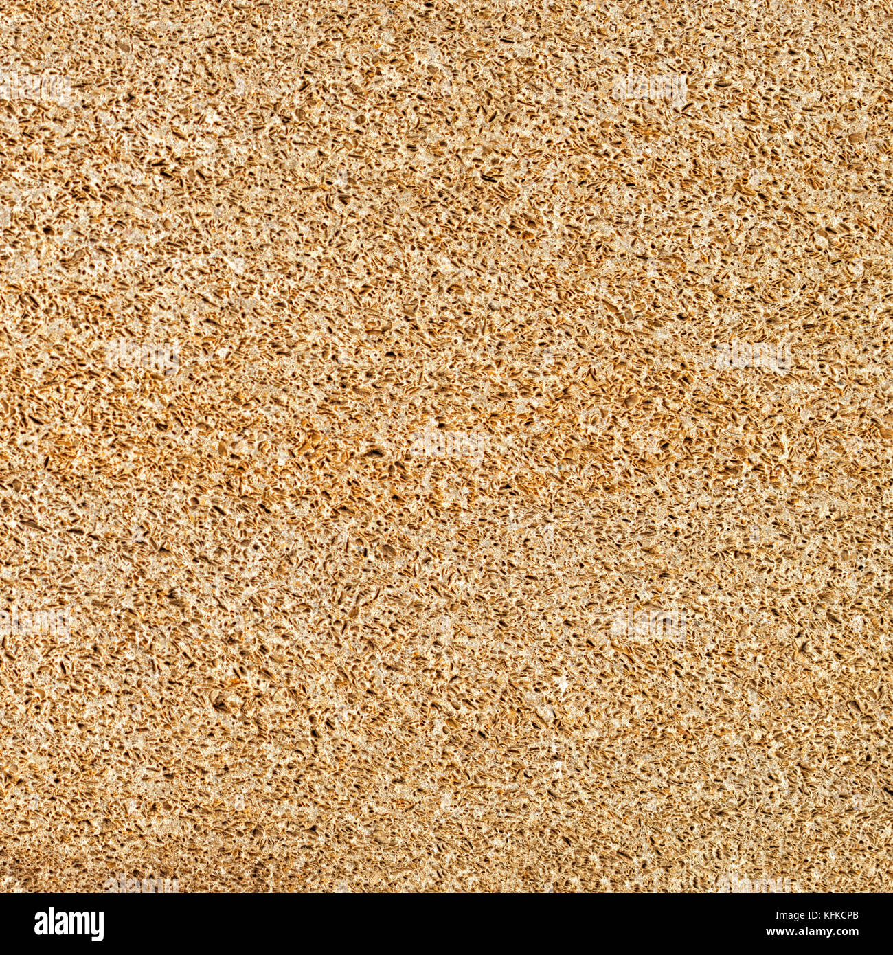 Perfetta di pomice consistenza porosa sfondo, stoneh naturale Foto Stock