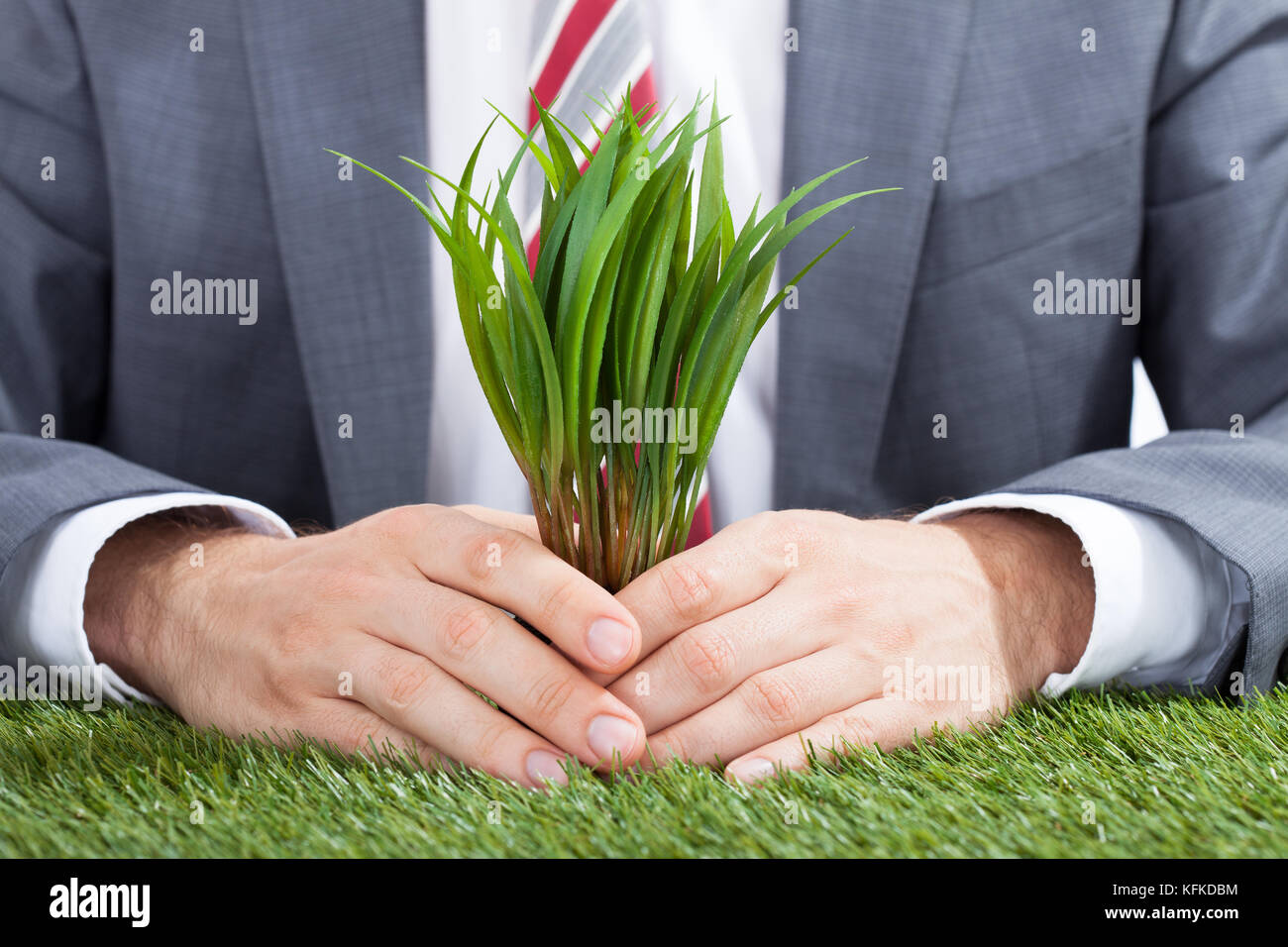 Sezione mediana di imprenditore tenendo alberelli sul prato Foto Stock