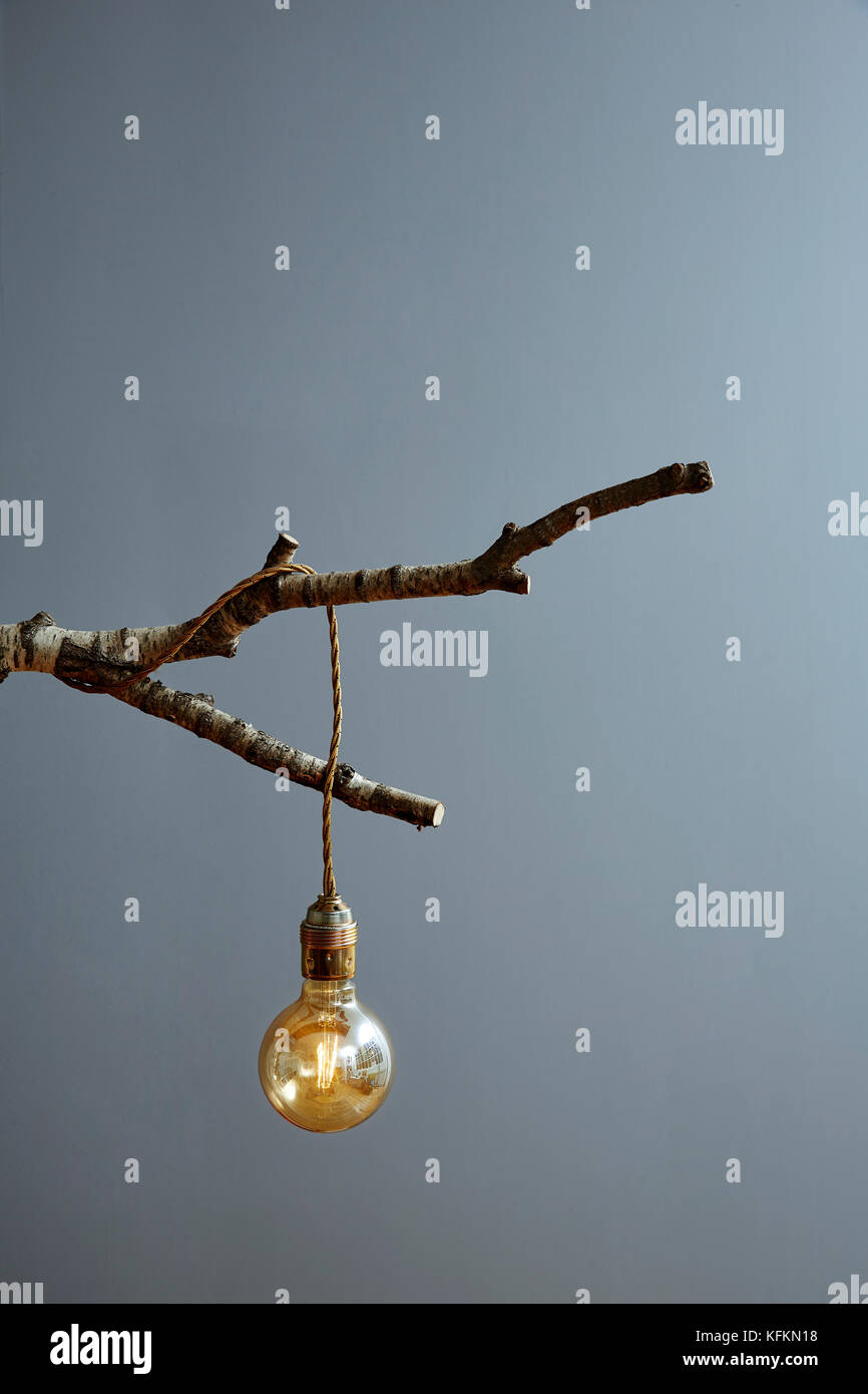 Lampadina sul ramo di betulla moderna lampada design Foto Stock