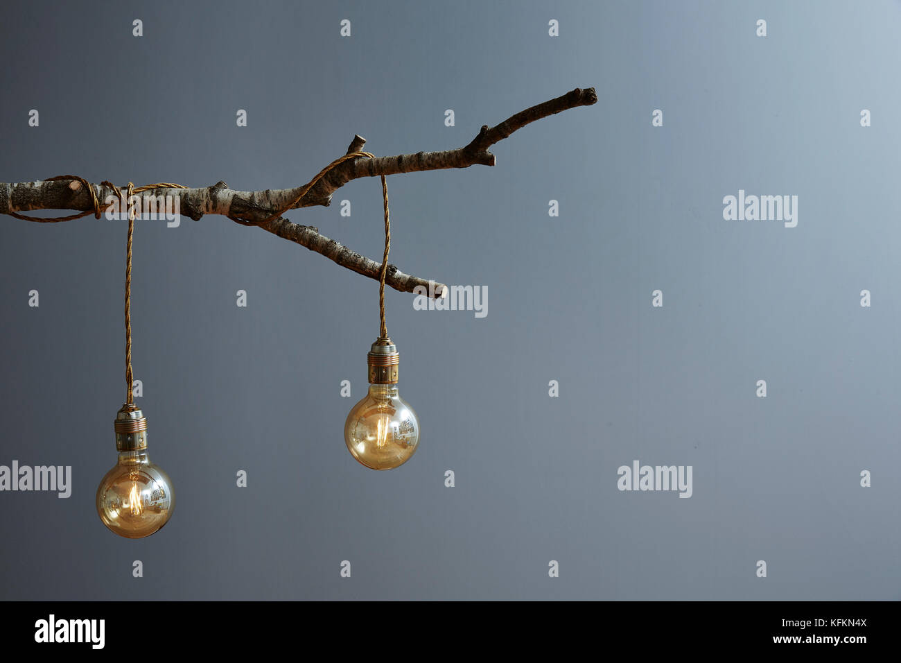 Il design moderno creativo ramo della lampada e le lampadine Foto Stock
