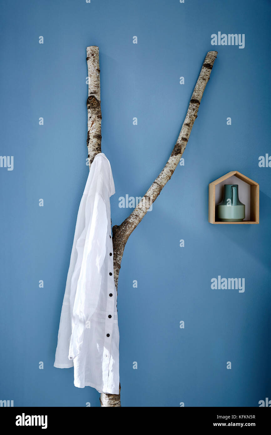 Moderno guardaroba di betulla con maglietta sulla parete blue bird e la decorazione della casa Foto Stock