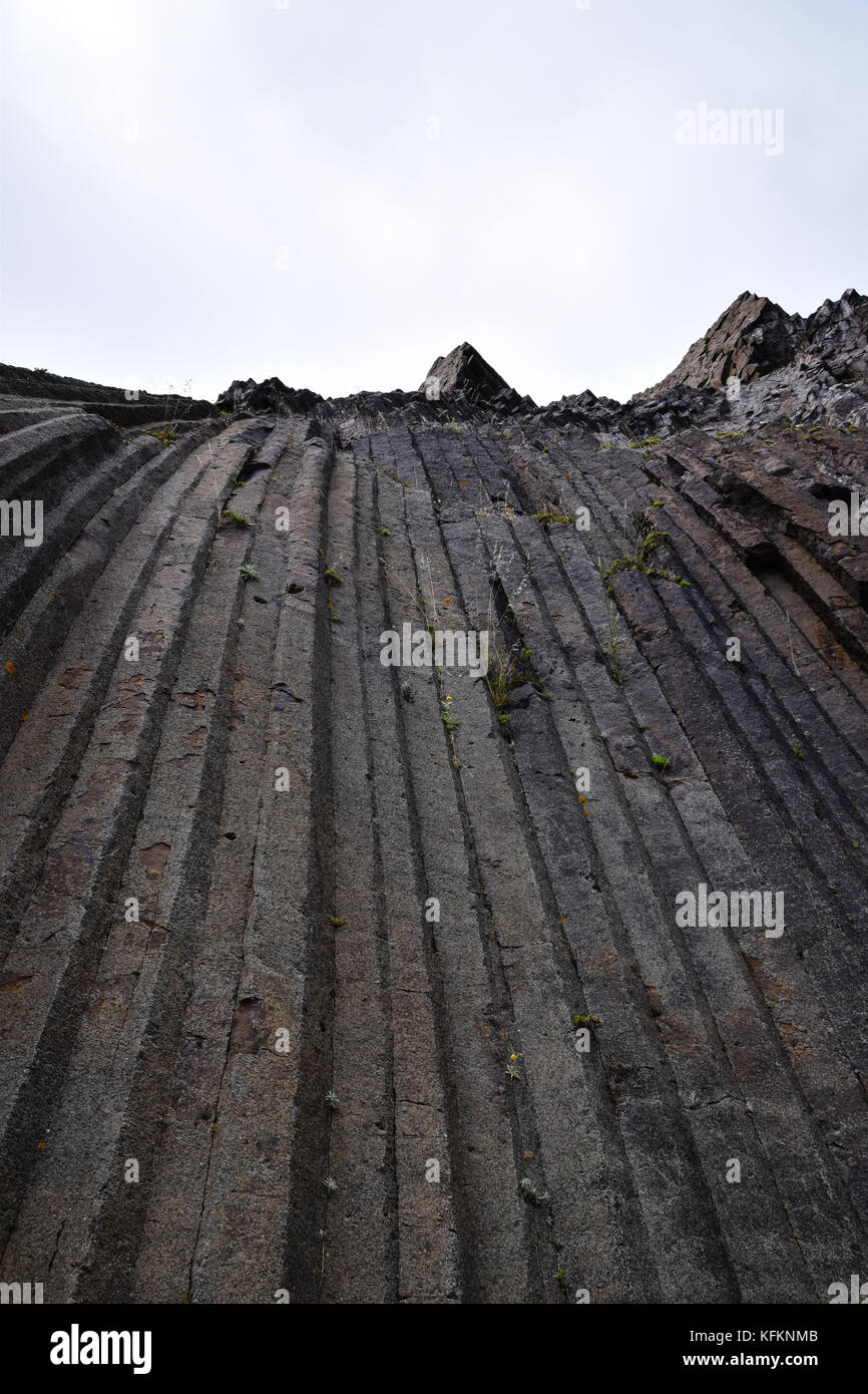Colonne di basalto presso Pico de Ana Ferreira, Porto Santo, Portogallo Foto Stock