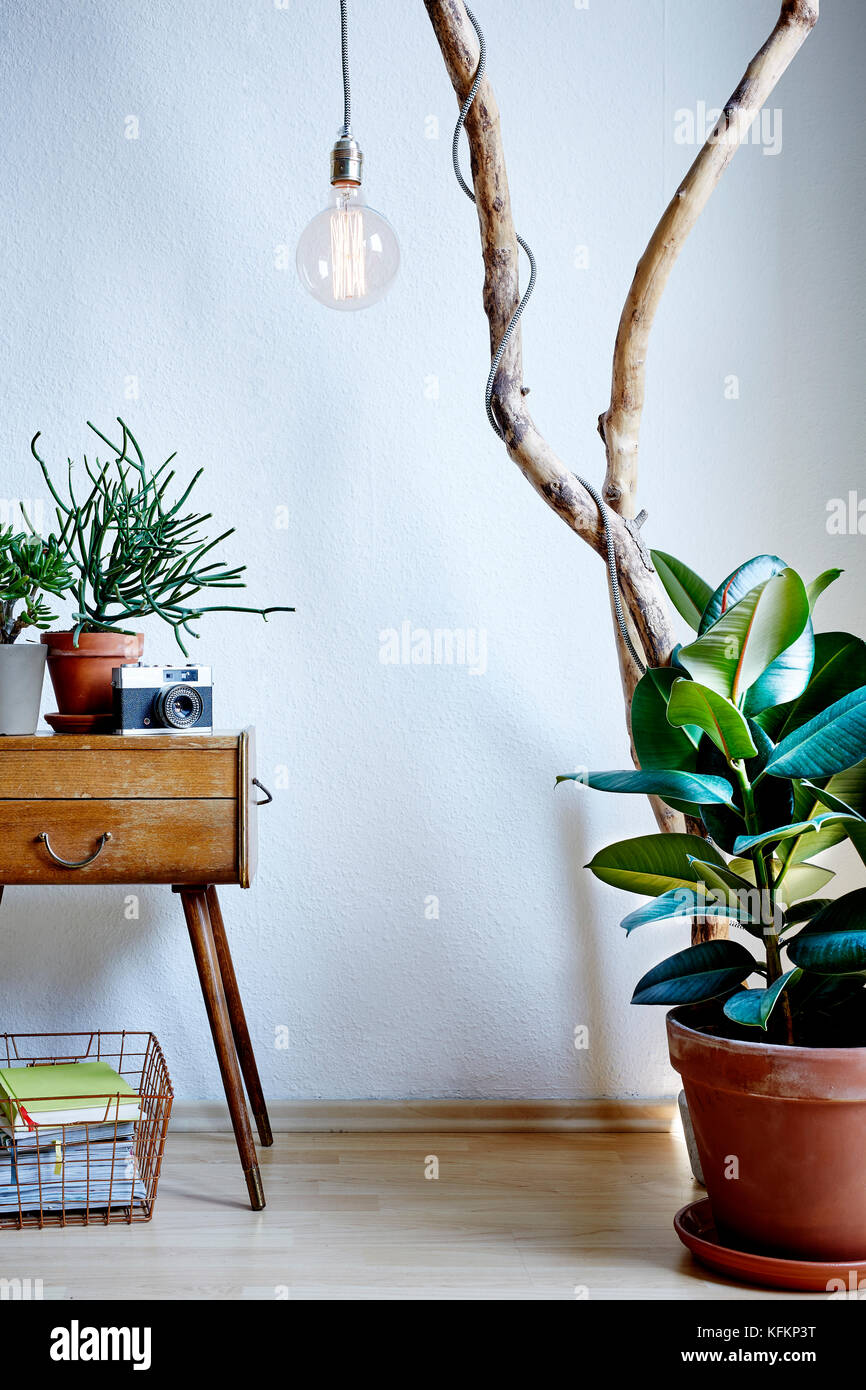 Moderni e vintage design mix piante e fotocamera singoli interior lifestyle Foto Stock