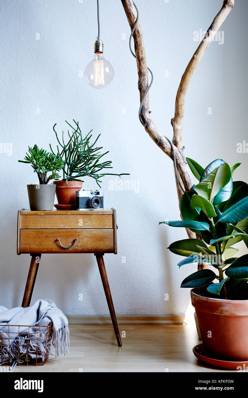 Living room design vintage e moderna miscela con abbondanza di piante nella soleggiata atmosfera Foto Stock