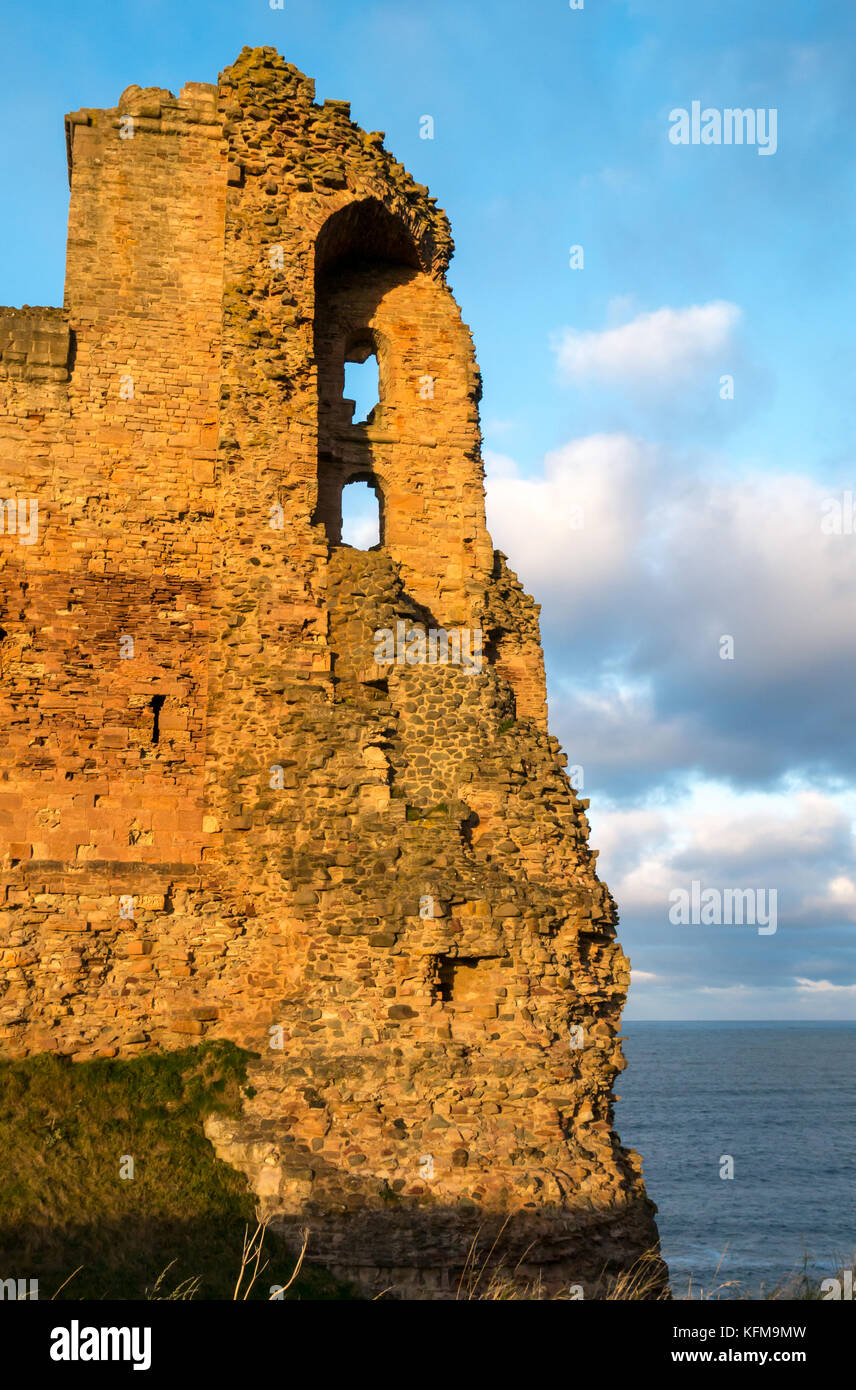East Lothian, Scozia, Regno Unito. Caldo a bassa luce del sole al tramonto sulla parete di tamponamento del XIV secolo rovinato Tantallon Castle, cliff nel Firth of Forth vicino a North Berwick Foto Stock