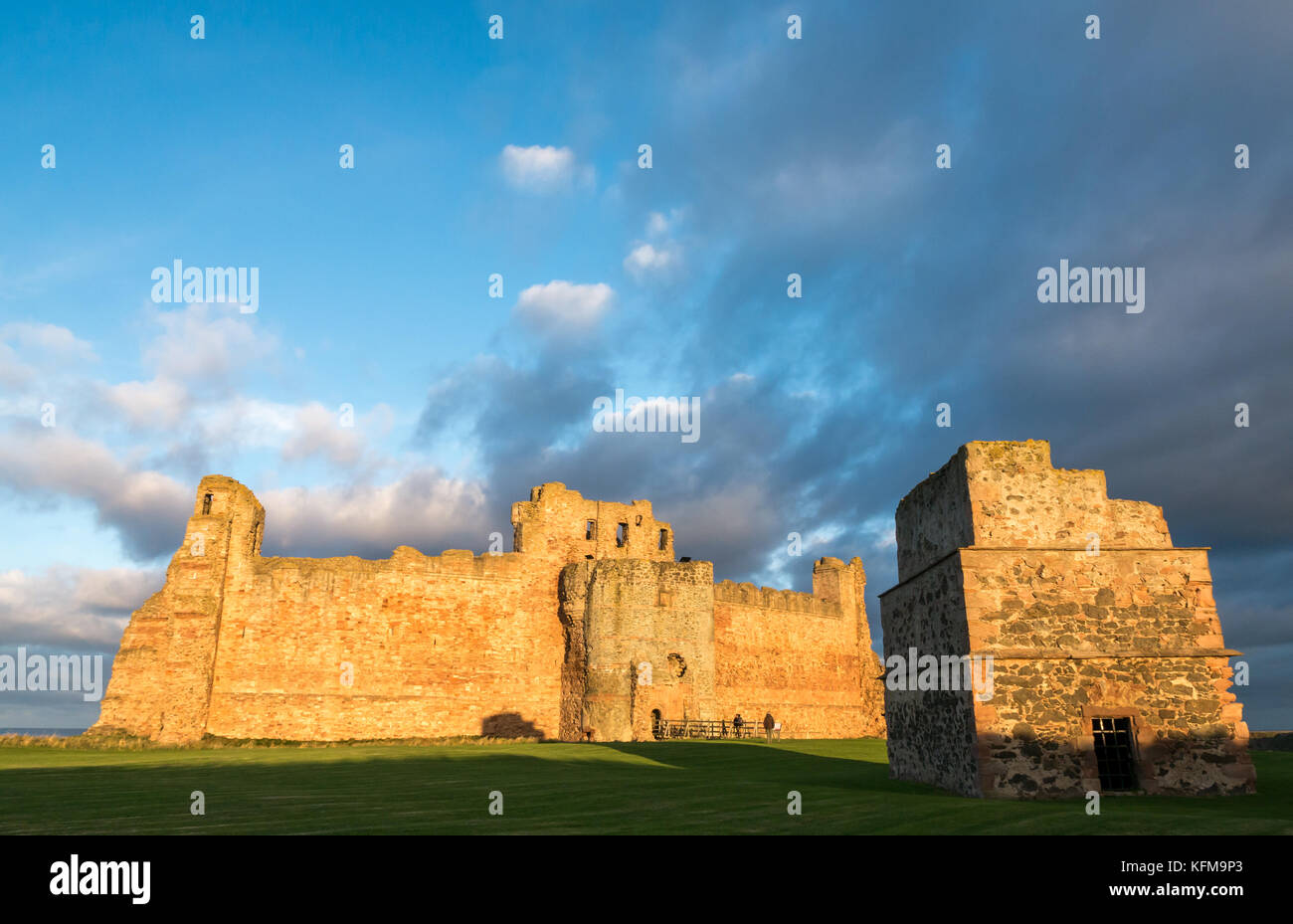 East Lothian, Scozia, Regno Unito. Caldo a bassa luce del sole al tramonto sulla parete di tamponamento del XIV secolo rovinato Tantallon Castle, cliff nel Firth of Forth vicino a North Berwick Foto Stock