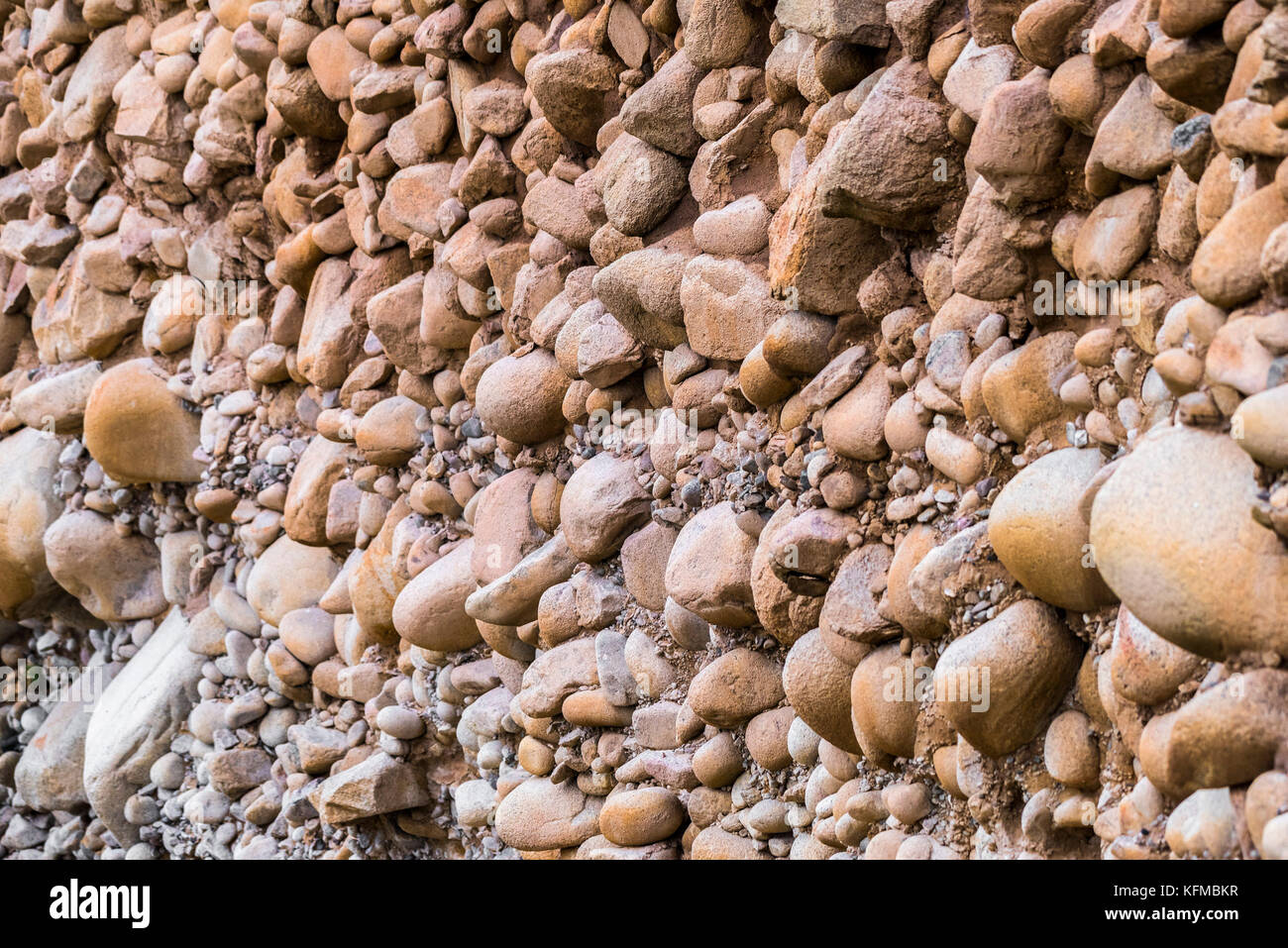 Geologia - una vista in primo piano di un'area di spiaggia sopraelevata a Porth Nanven in Cornovaglia. Foto Stock