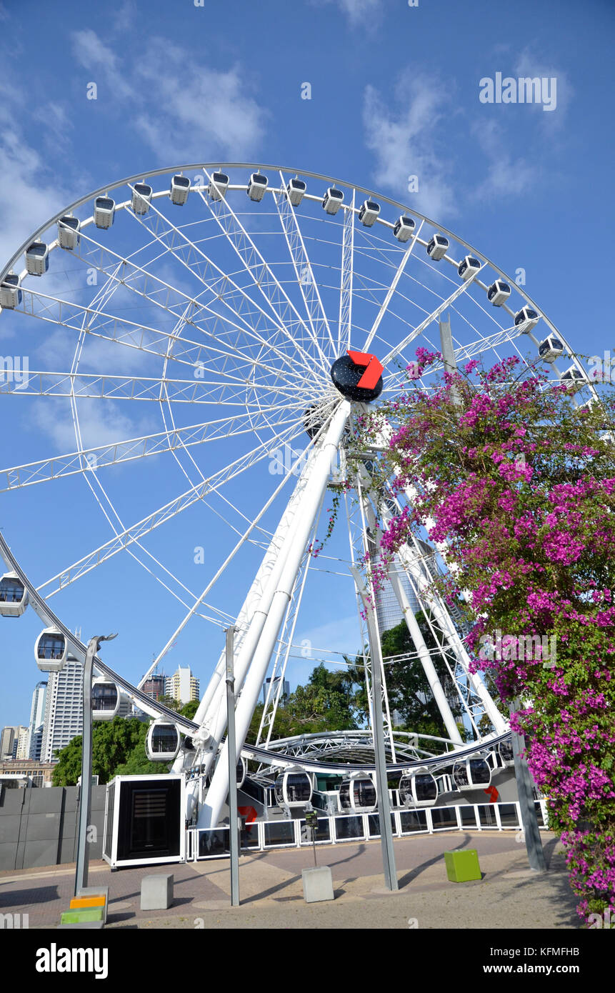 La Ruota Panoramica di Brisbane, una attrazione turistica sulla South Bank, Brisbane, Queensland, Australia Foto Stock