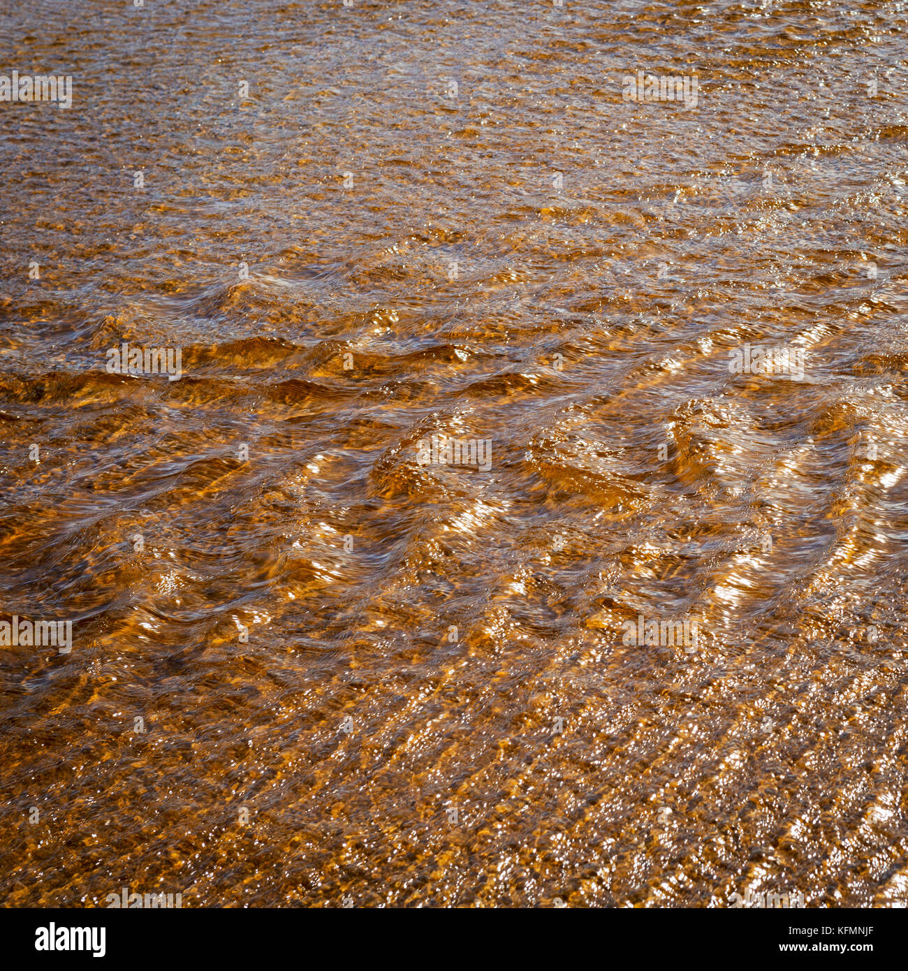 Luce del sole su acqua tannino in esecuzione ripple sfondo Foto Stock