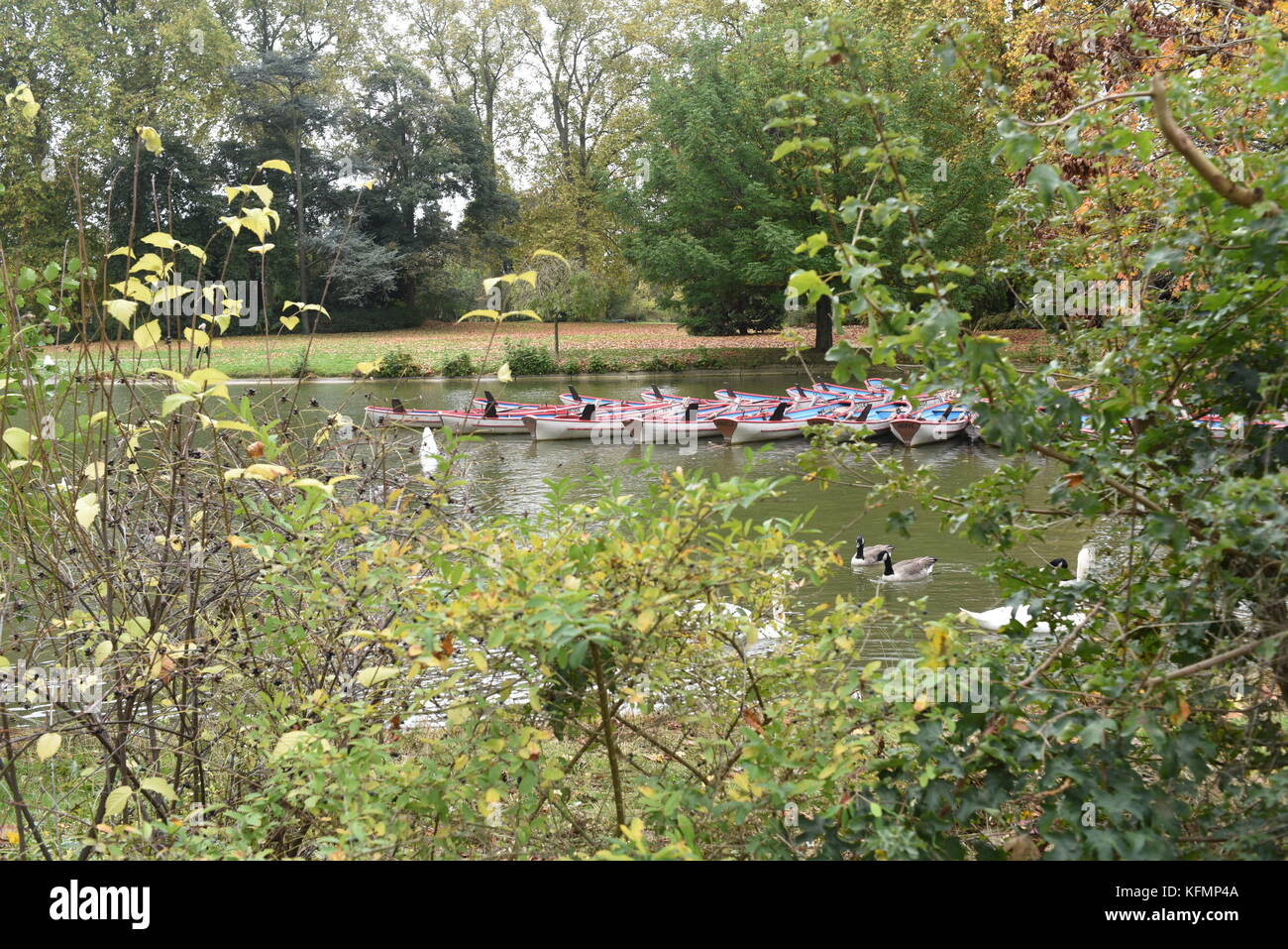 Fotografia di strada al Bois de Vincennes Parigi, Francia Foto Stock