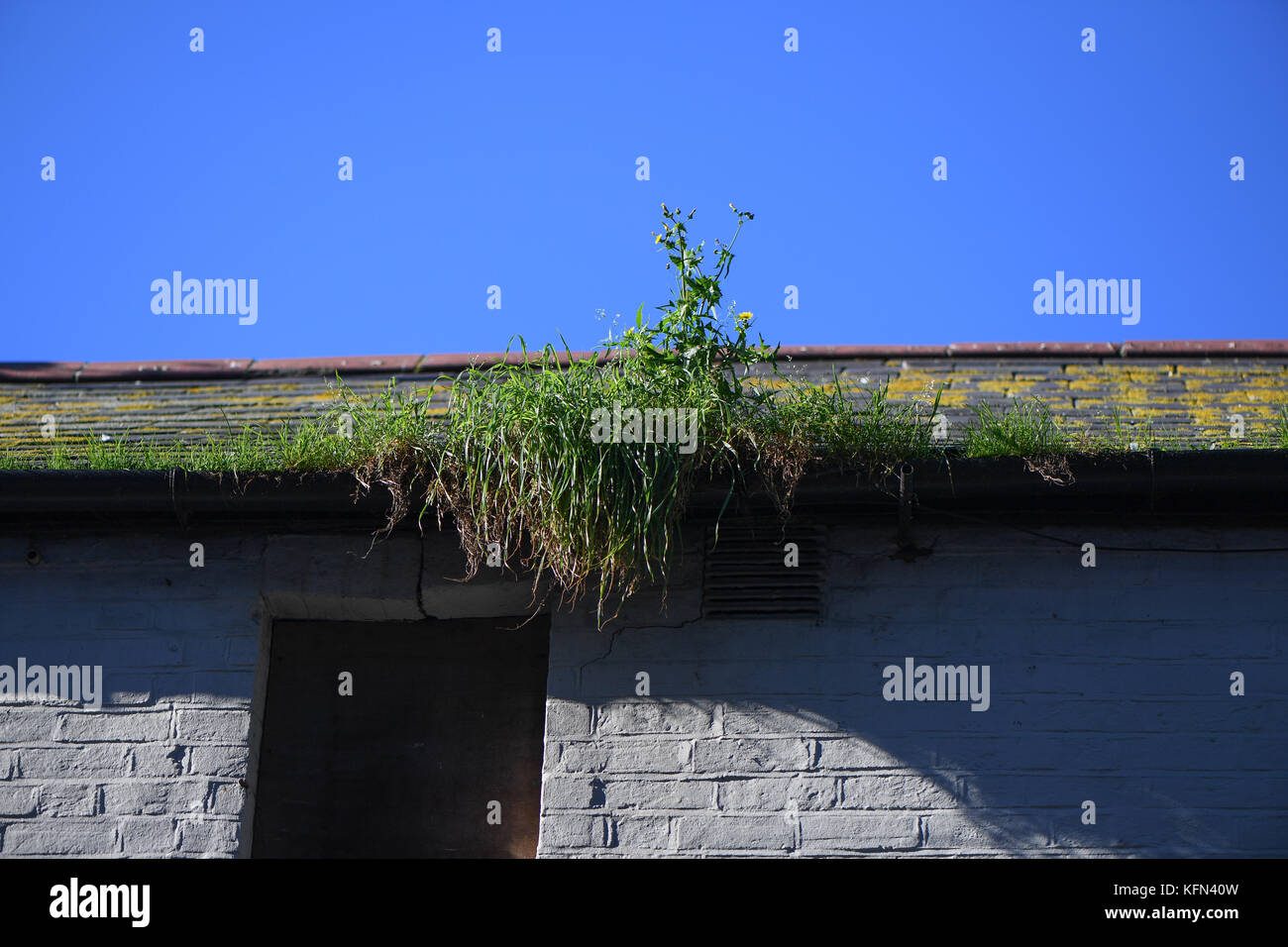 Gravemente bloccato ed incolto grondaie in una casa che è caduto in rovina. Foto Stock