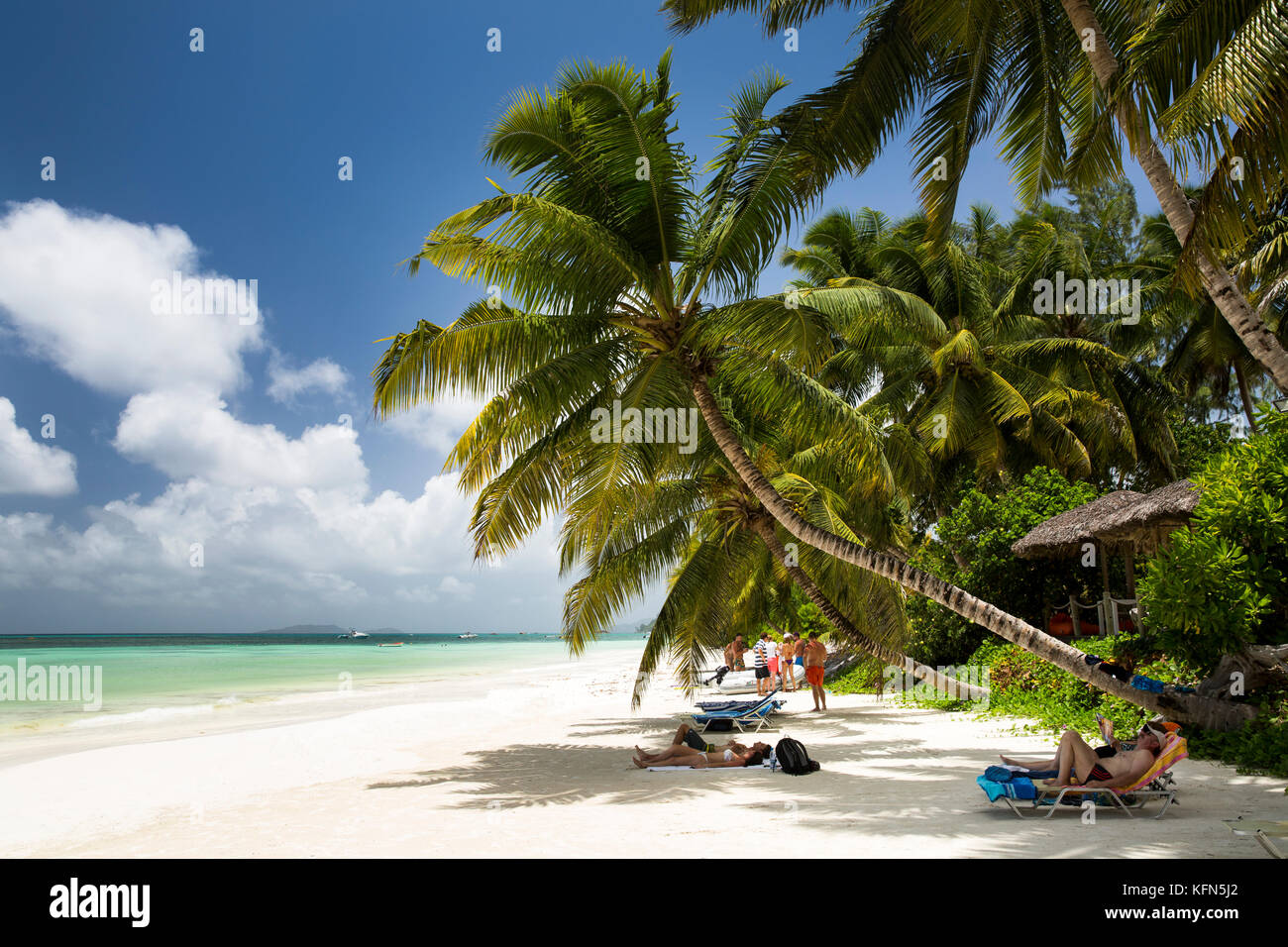 Delle Seychelles, Praslin, Anse Volbert, spiaggia, i turisti a prendere il sole in ombra delle palme Foto Stock