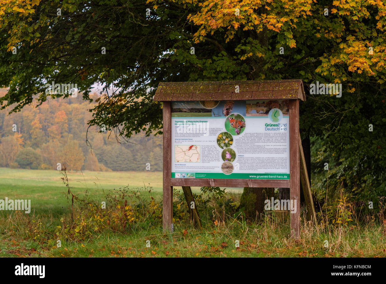 Farben des Herbst Wald Foto Stock