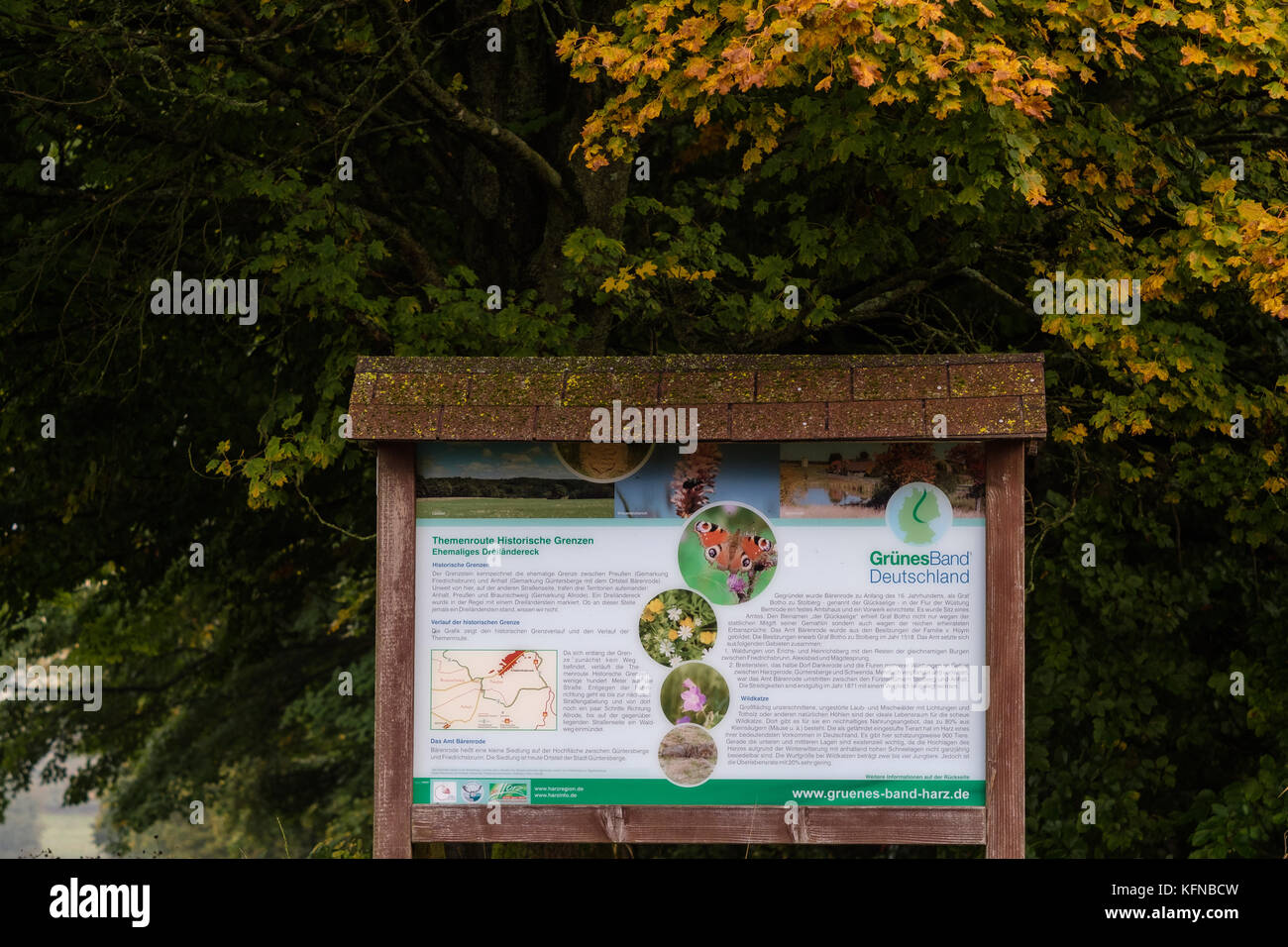 Farben des Herbst Wald Foto Stock