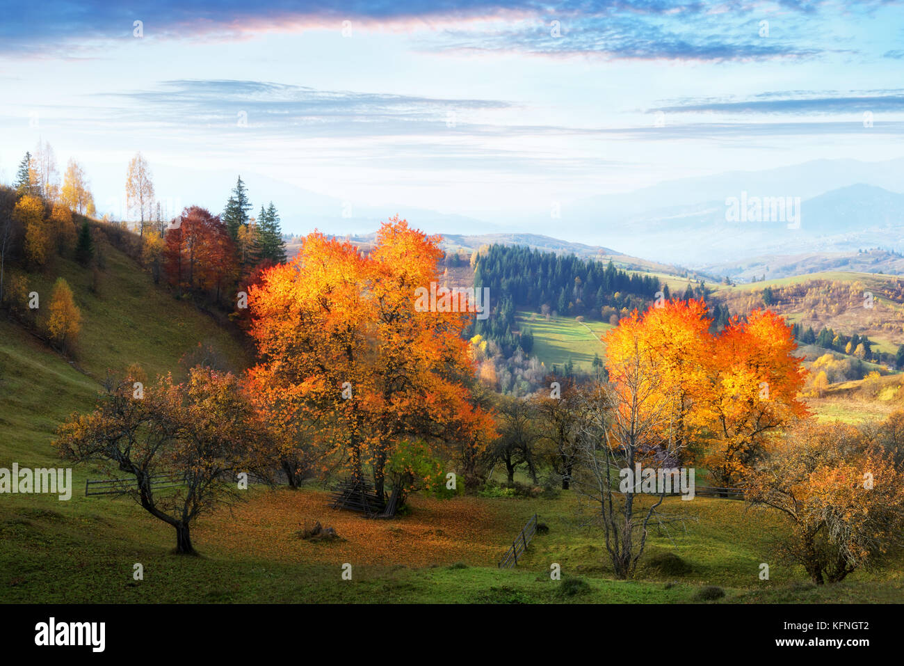Incredibile scena rurale sulla valle di autunno Foto Stock
