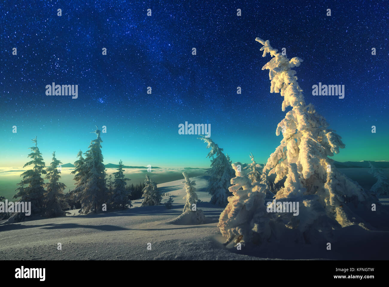 Scena invernale con alberi innevati Foto Stock