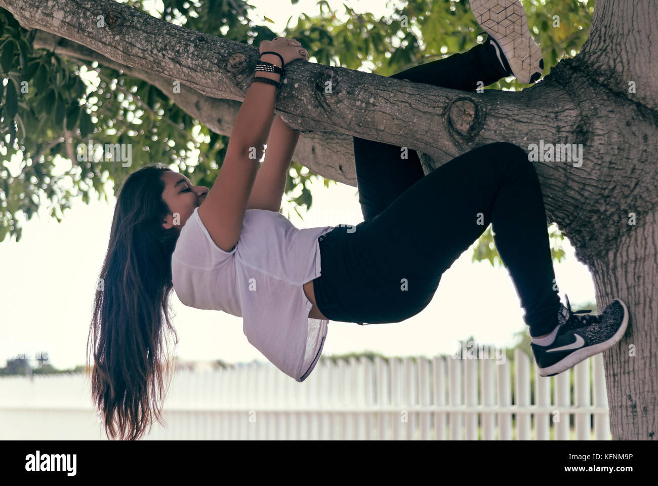 Intrepid giovane donna godendo di arrampicarsi su un albero di ceiba e pendente da un ramo Foto Stock