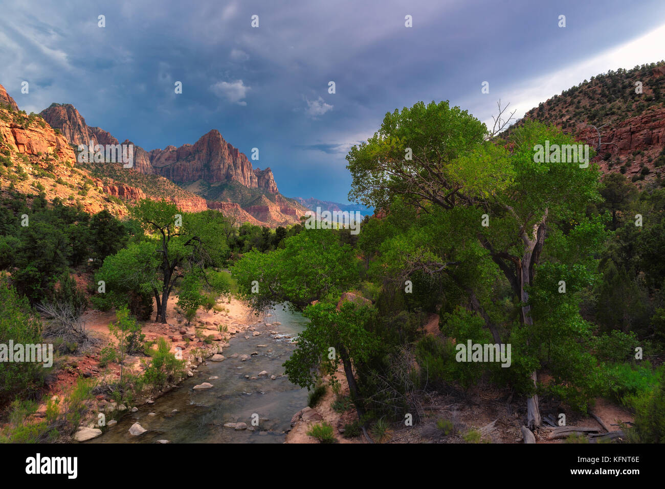 Parco nazionale di Zion Foto Stock