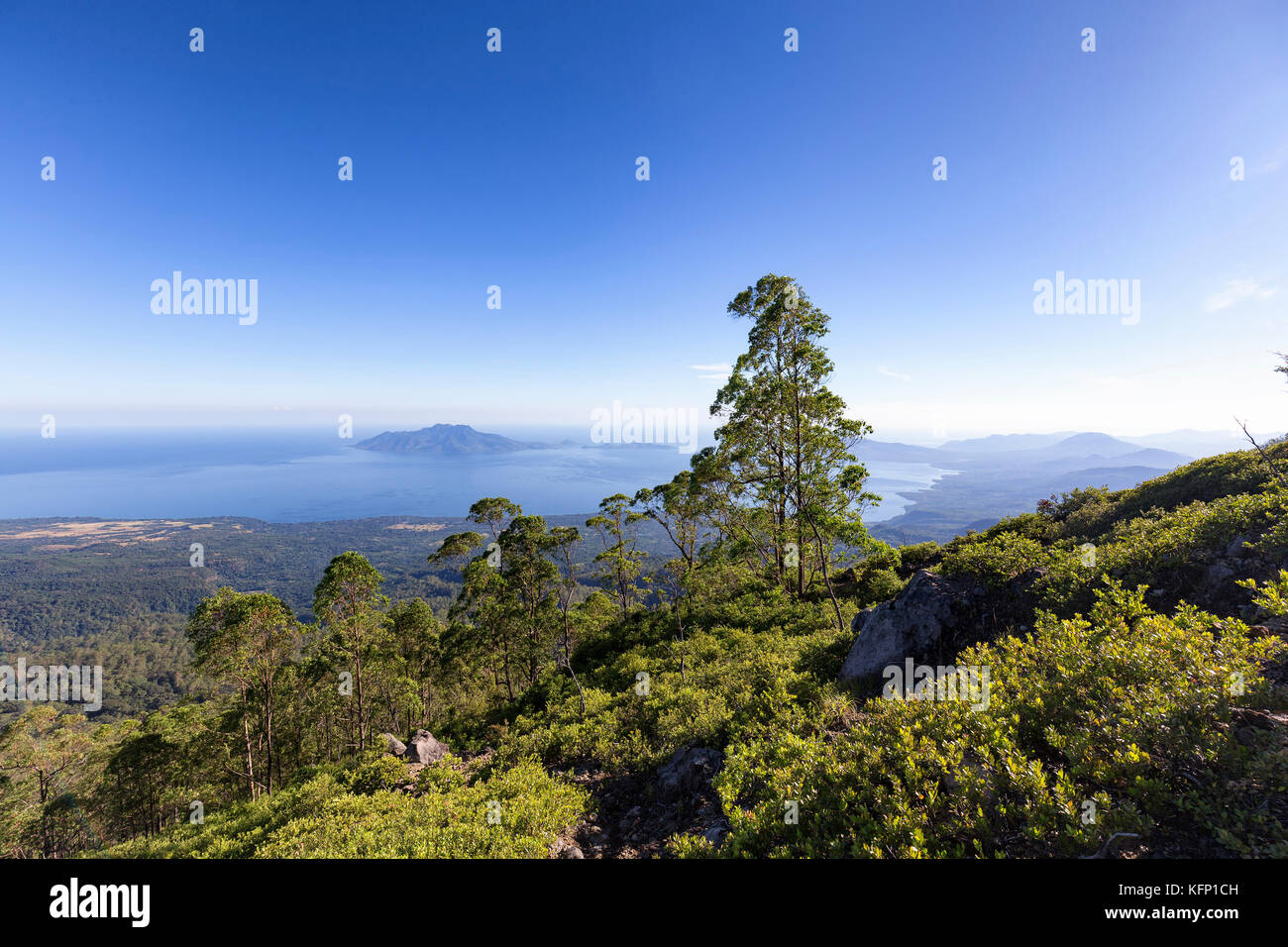 Il bordo della treeline e Pulau Besar Island sul monte attivo egon in Indonesia. Foto Stock
