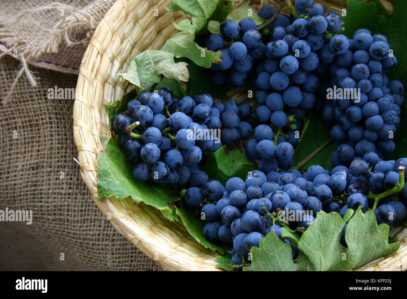 Ramo di uva in un cestello Foto Stock